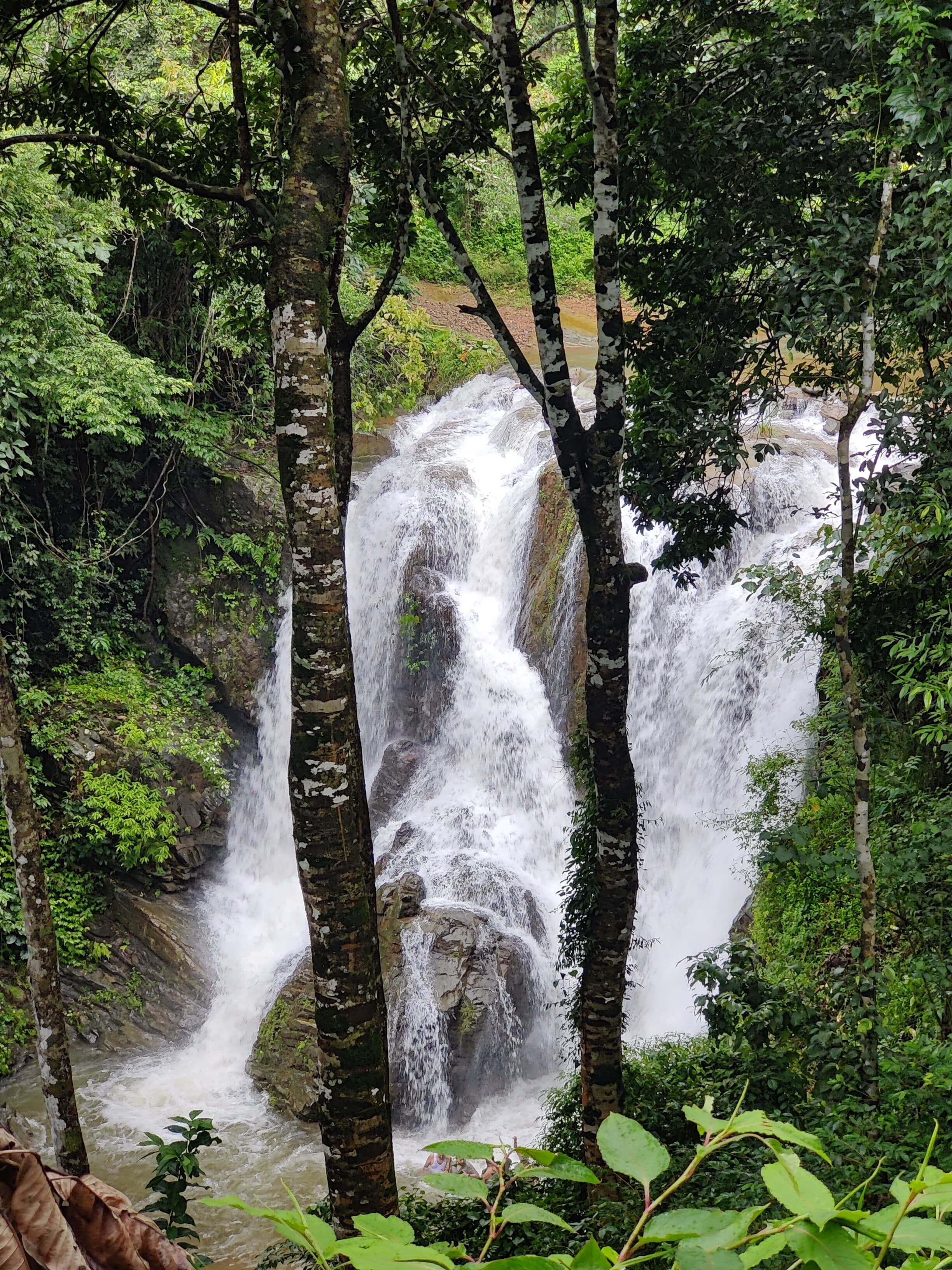 Kodige falls