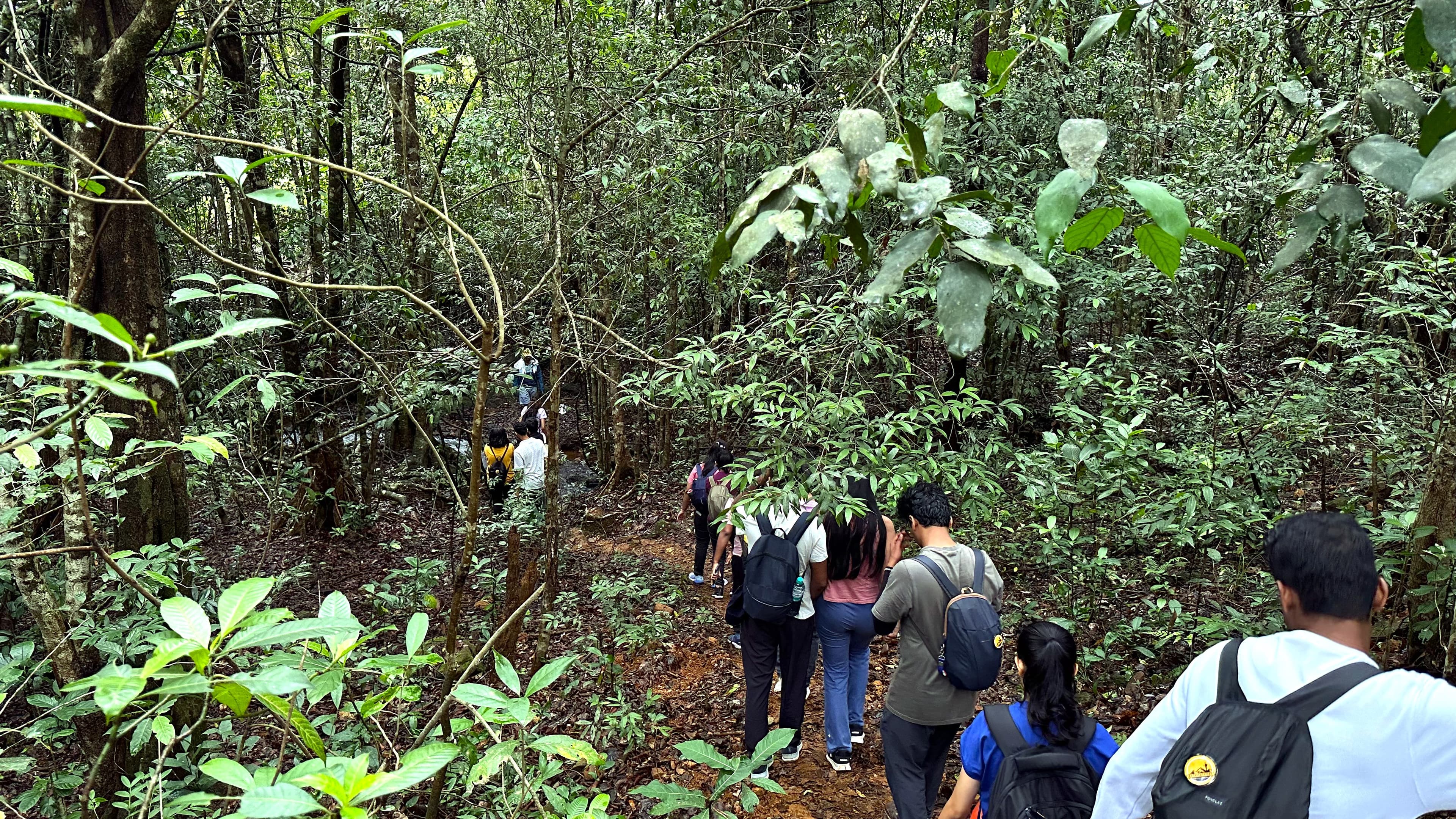 Kurinjal Trek forest trail