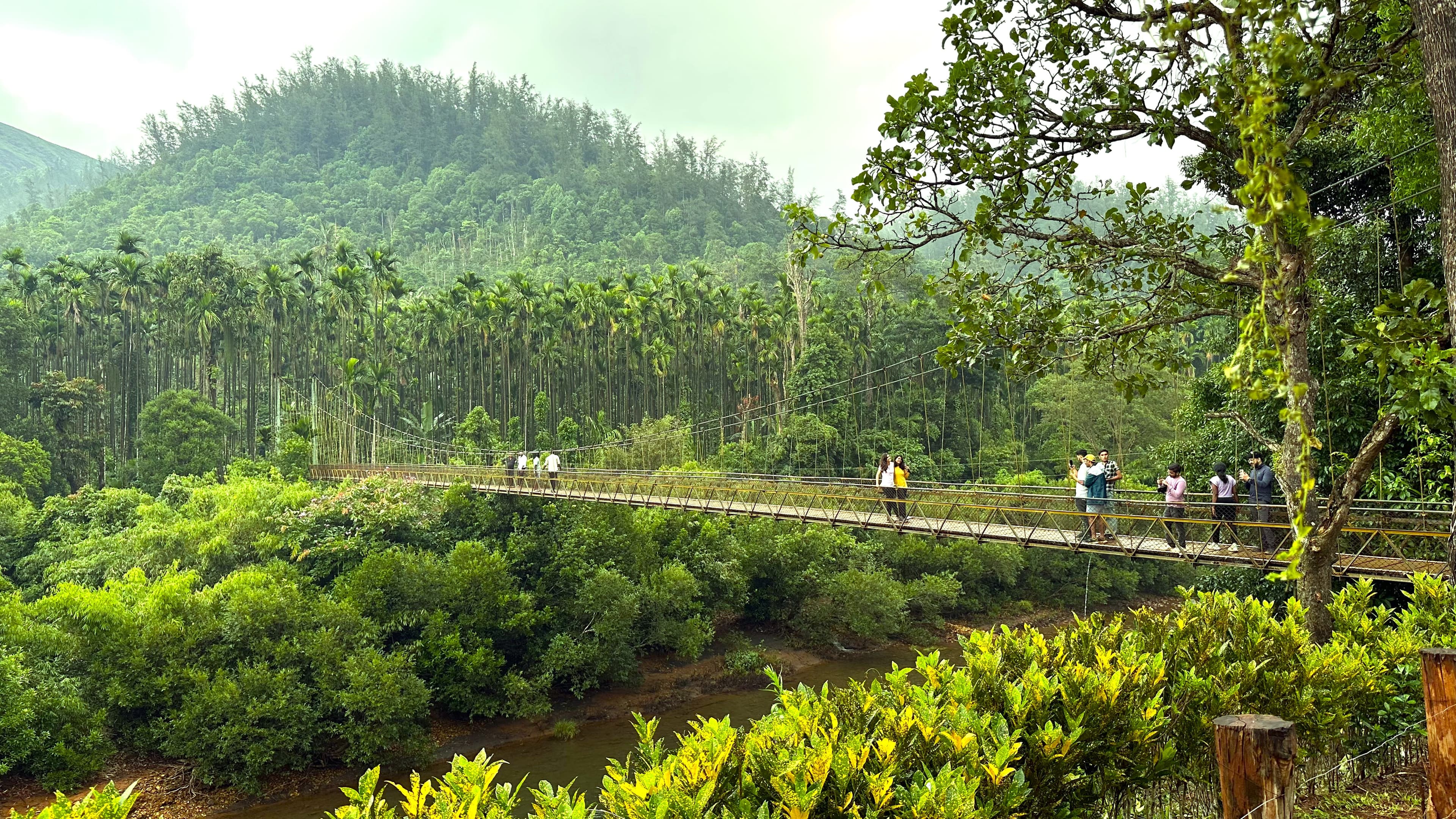 Nellibeedu Hanging Bridge, Kurinjal Trek