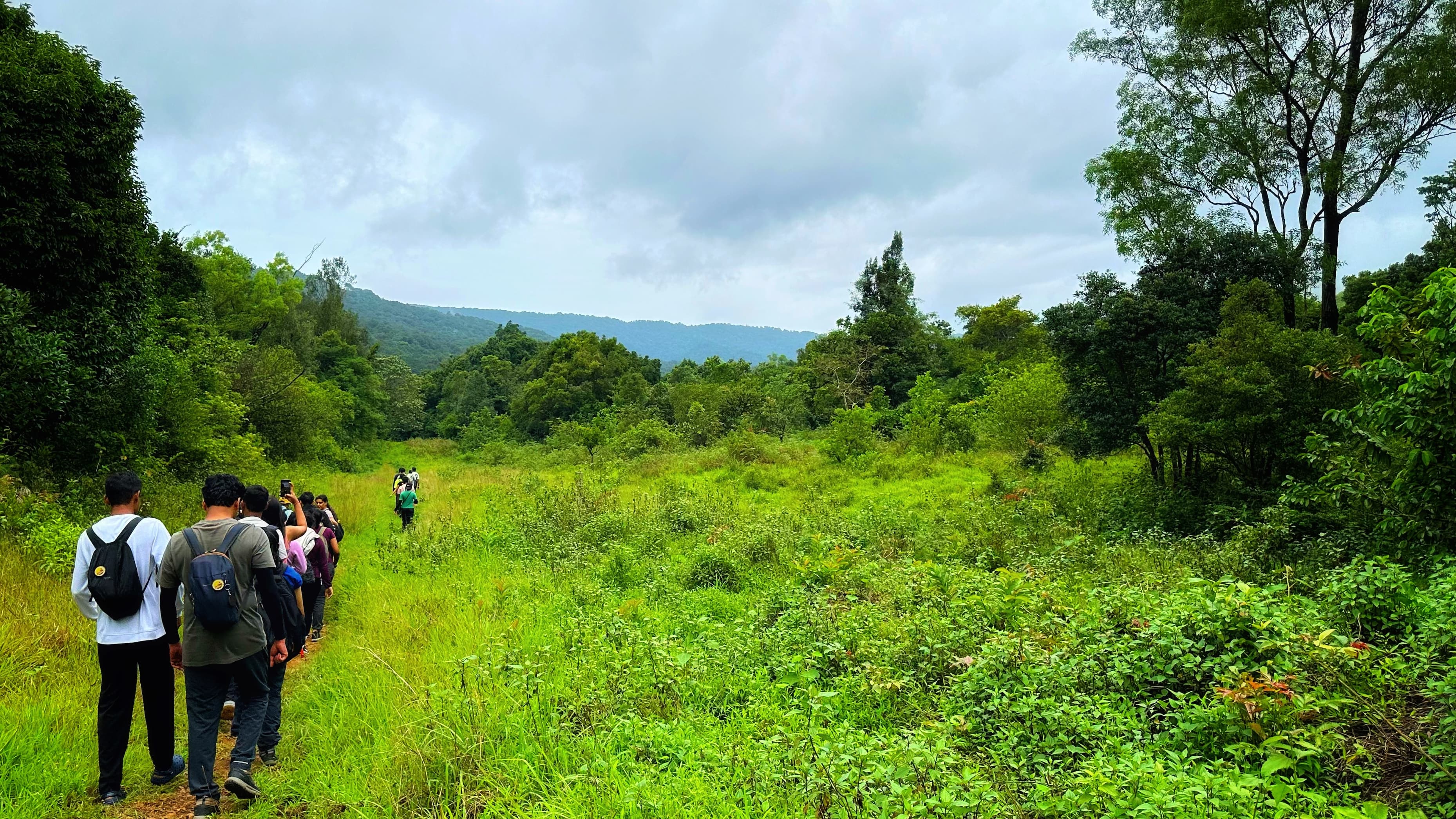 Trail through Kurinjal's greenery