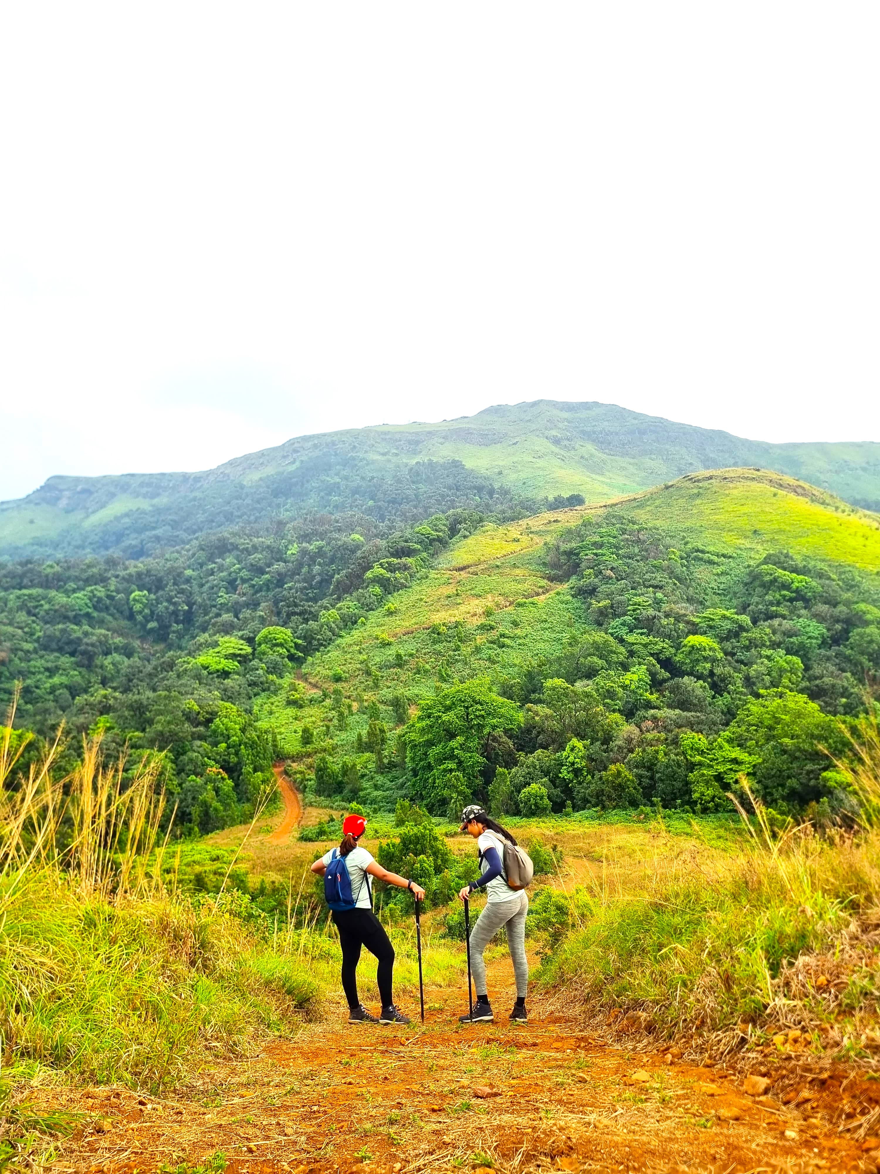 Gangadikal Trek-Lush green view