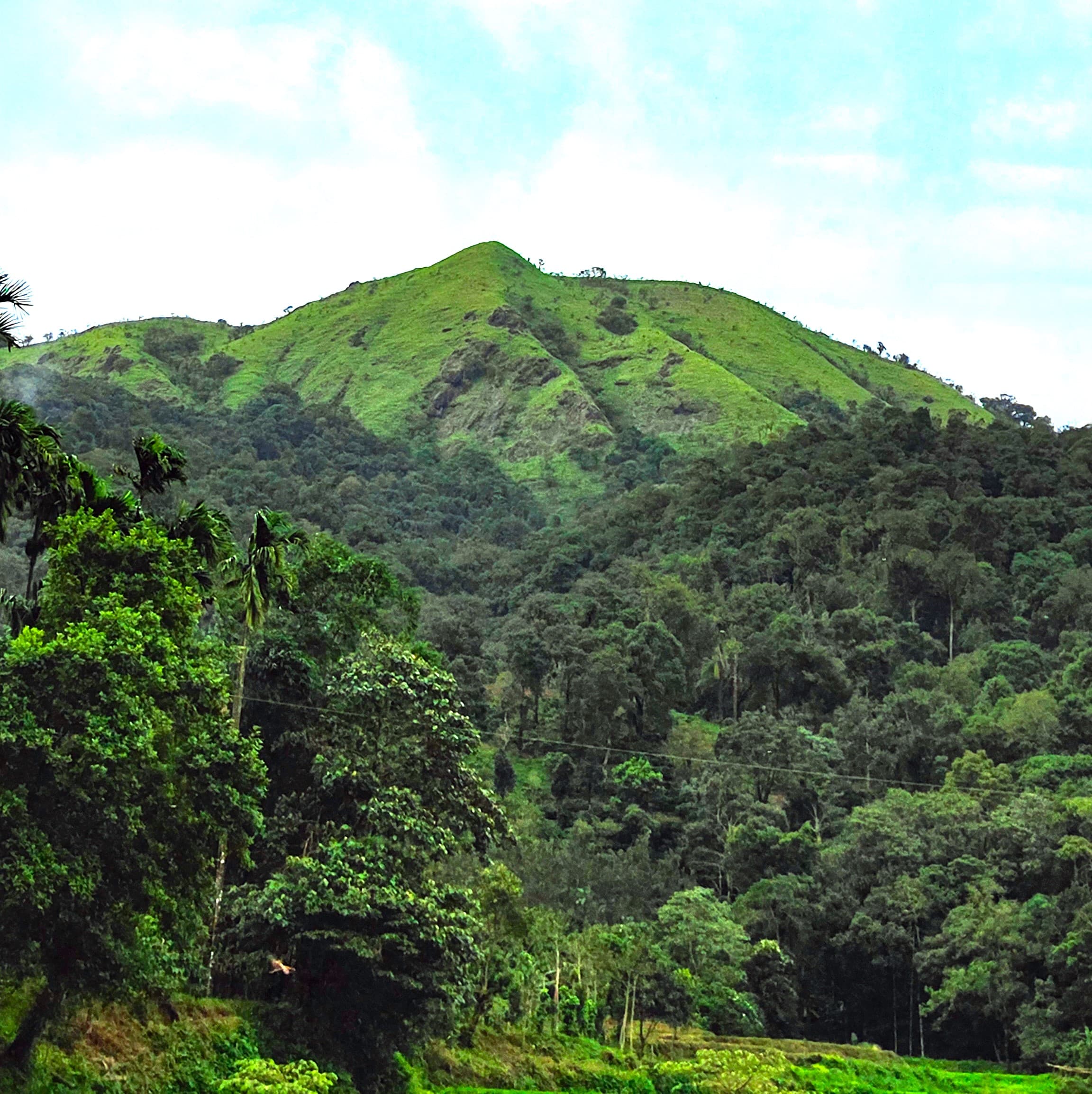 Thavoor Hills Trek-‘Dumchi Gudda’. 