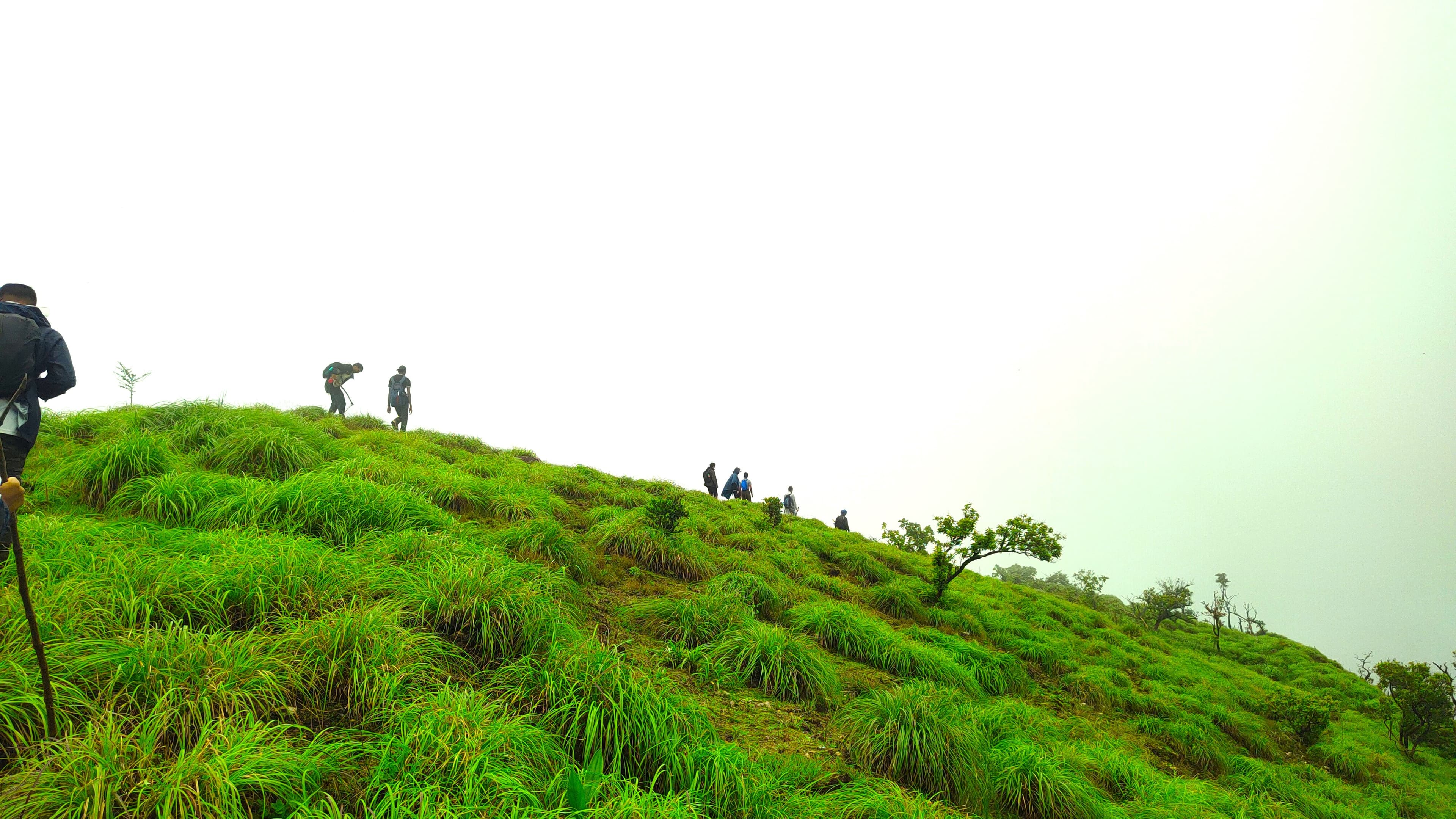 Thavoor Hills Trek-panoramic view