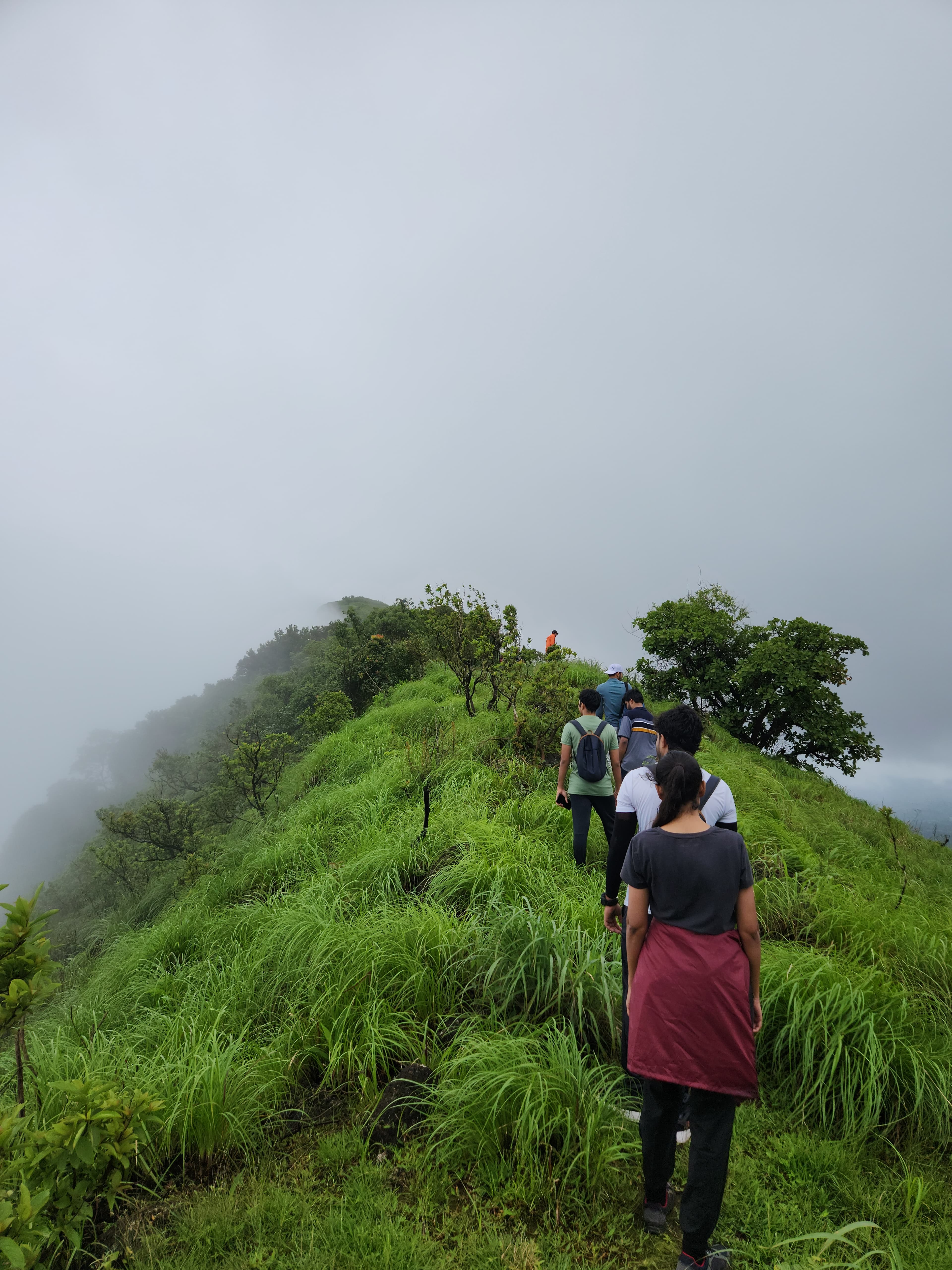 Thavoor Hills Trek-Trail