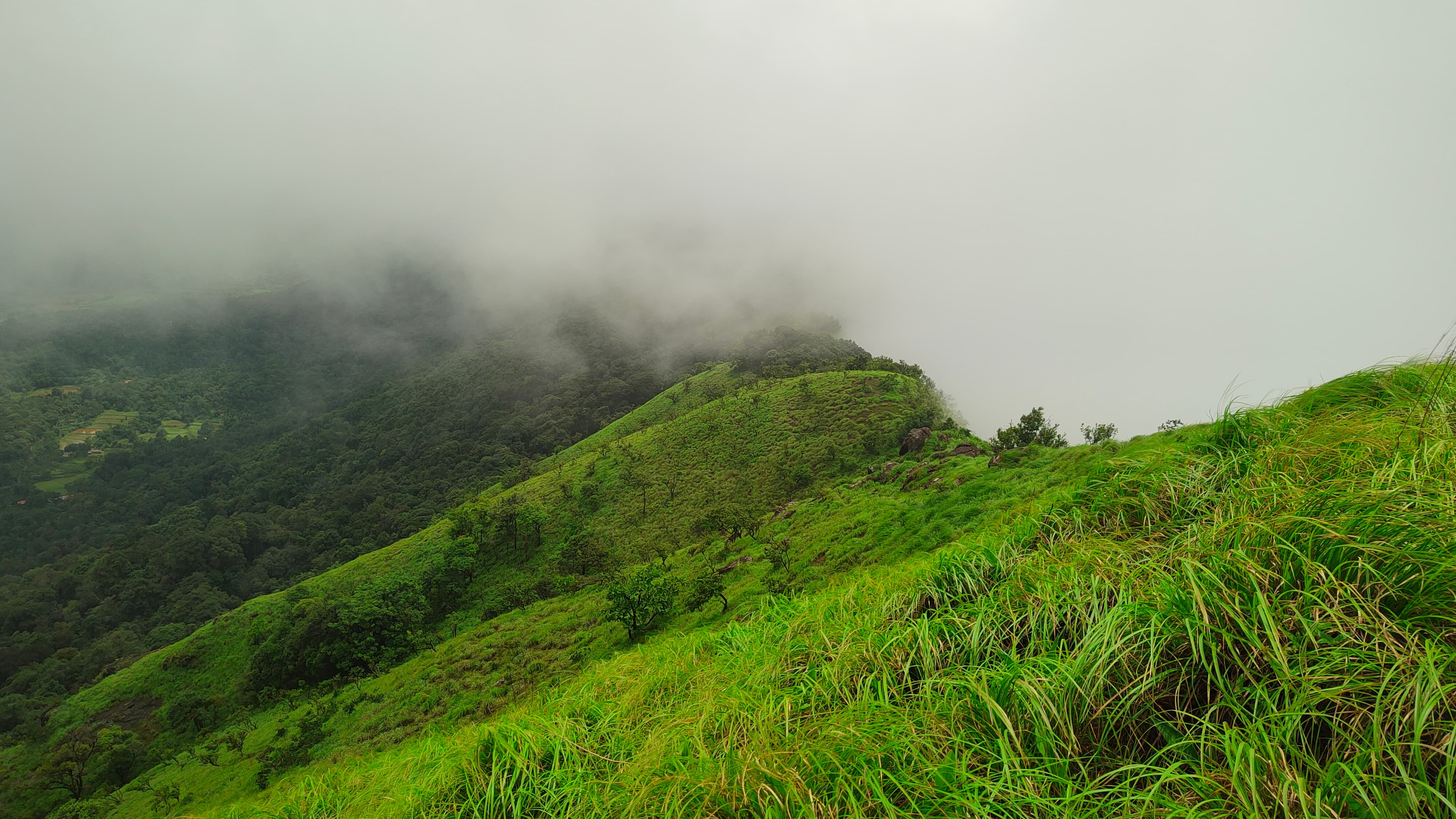 Thavoor Hills Trek-cloudy canopy