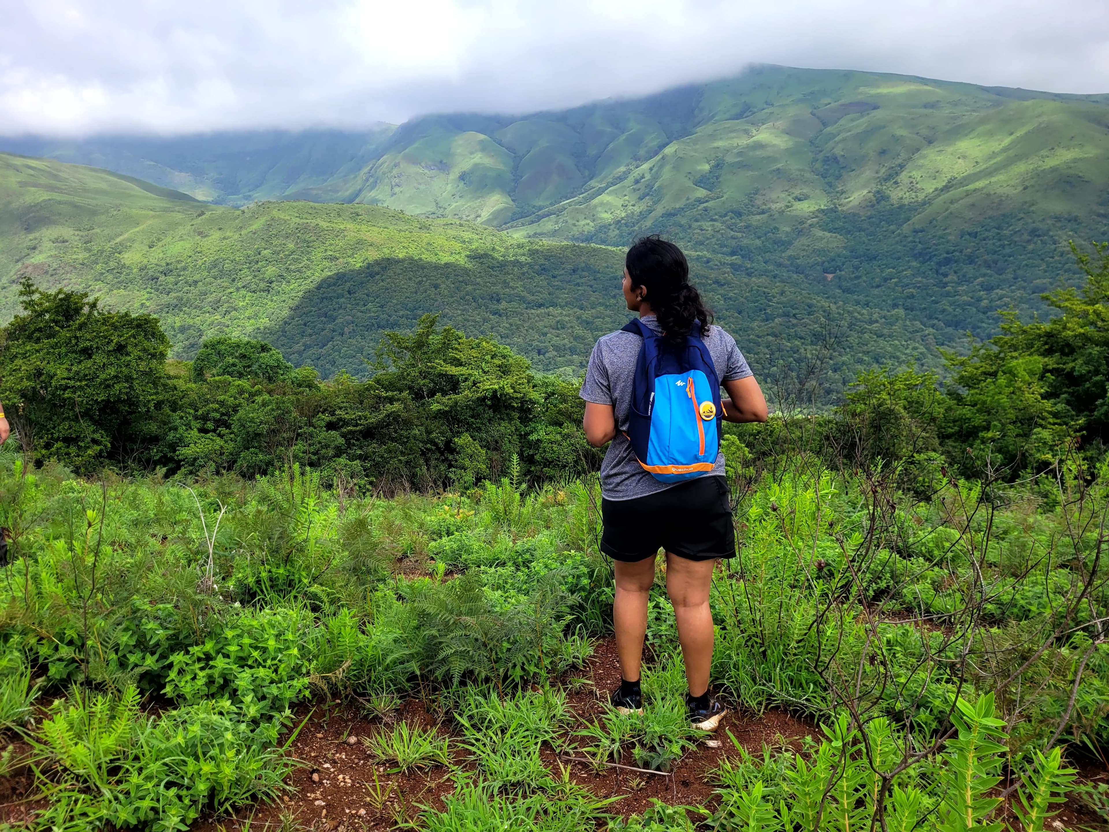 Baamikonda-trek-Dense tropical forests