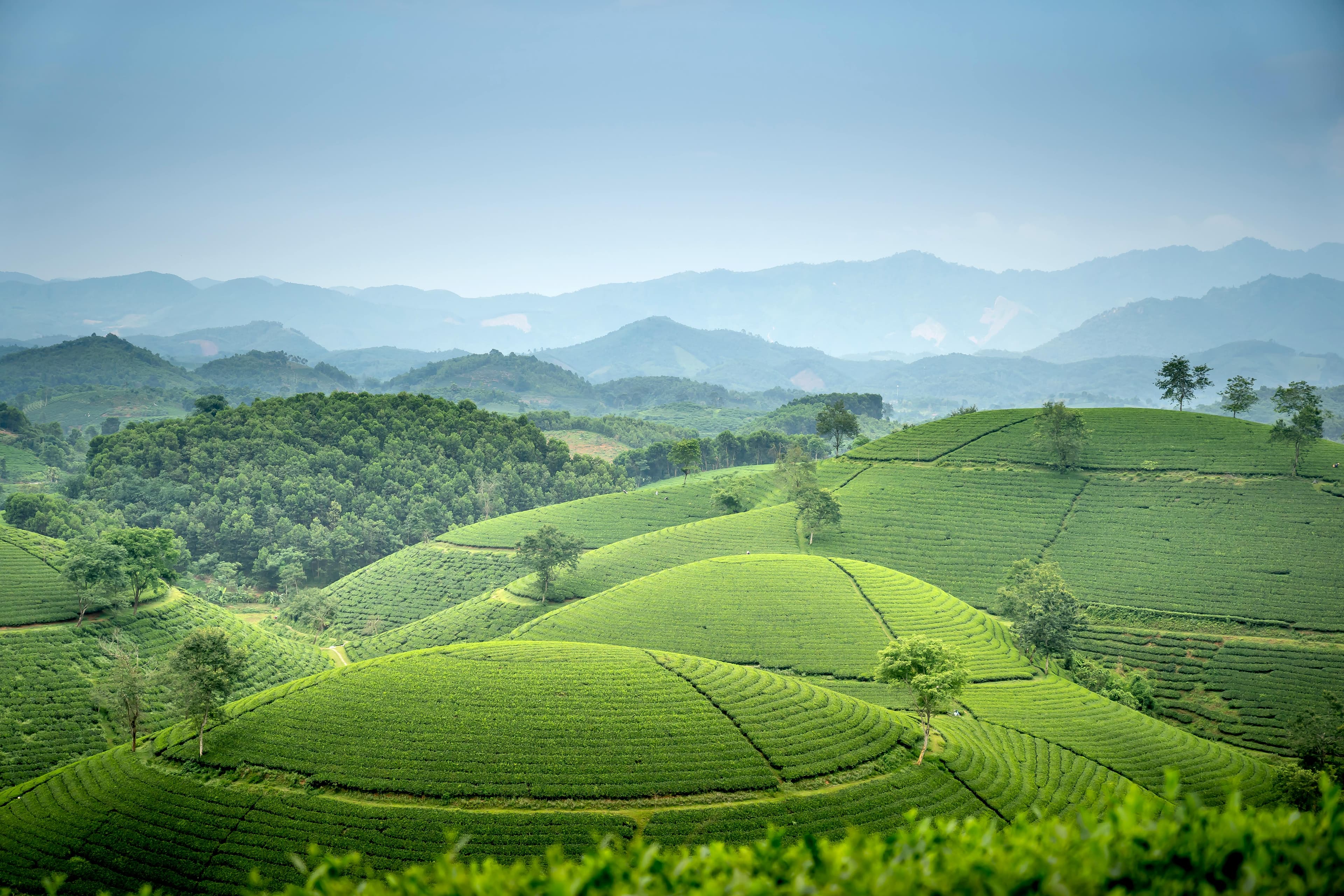 Valparai Weekend Getaway-Stunning Scene