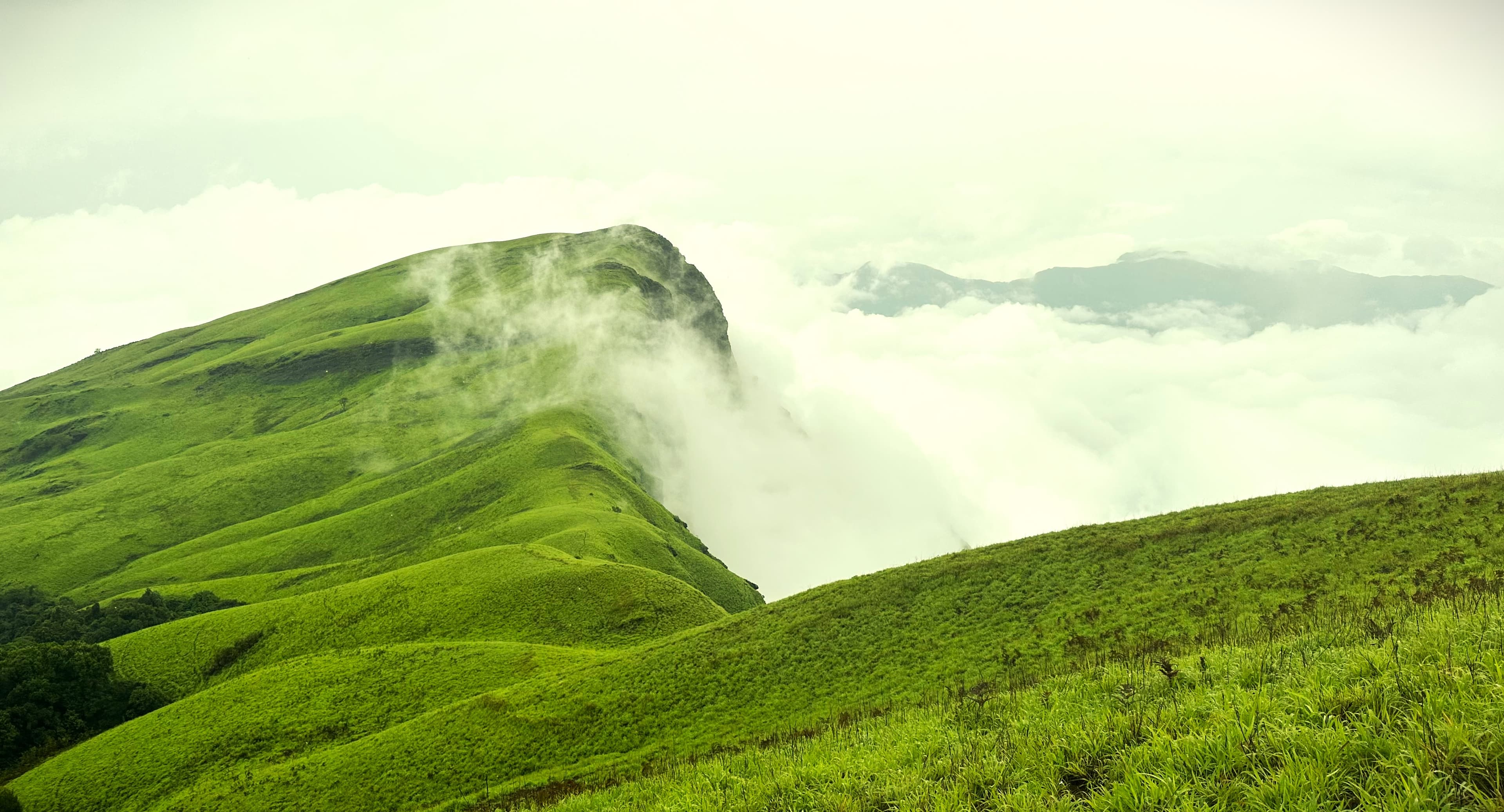Netravathi Peak Trek: Rainy Trekking Trail Amidst Lush Green Mountains