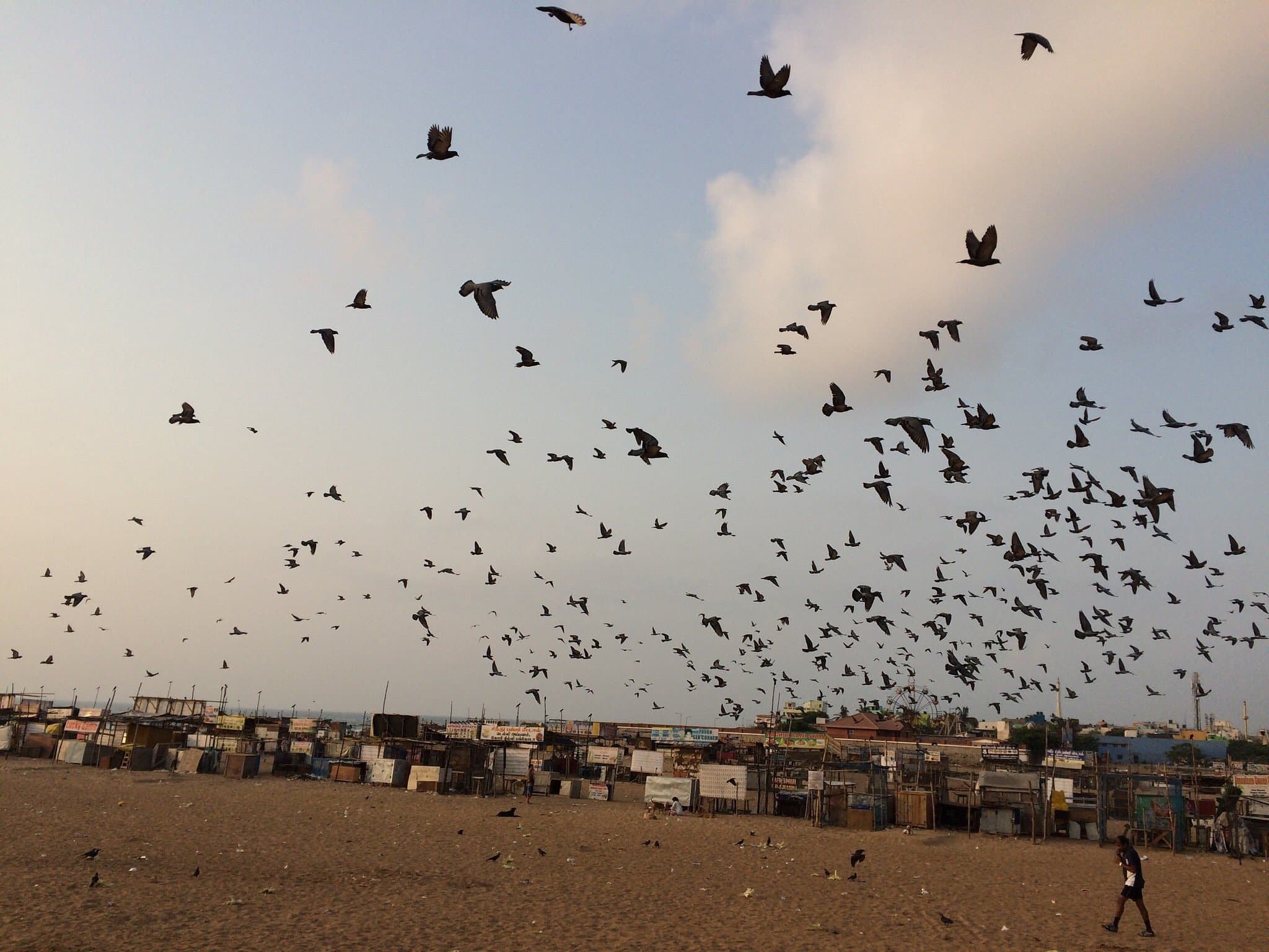 Besant Nagar Beach