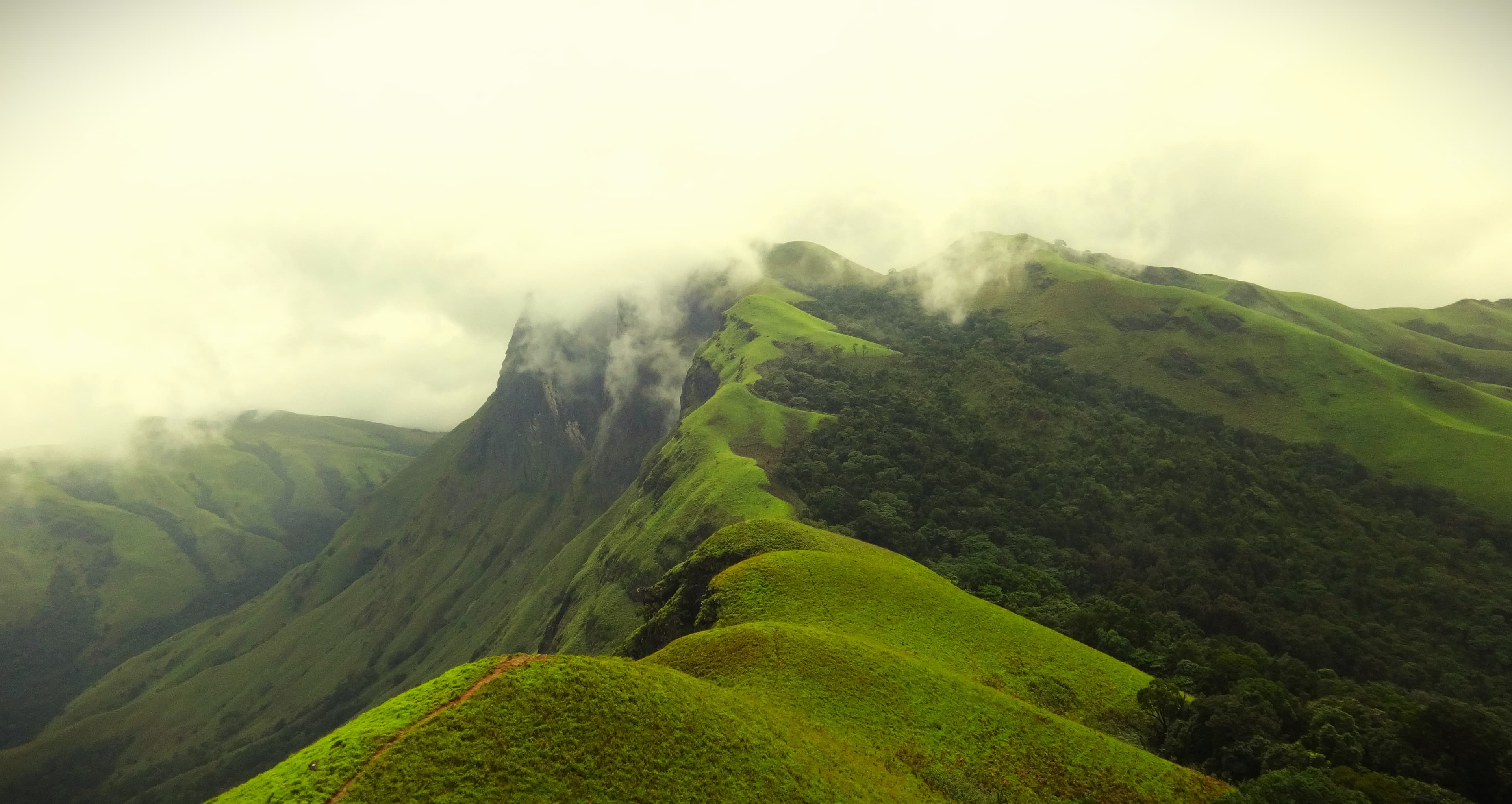 Netravathi Peak Trek