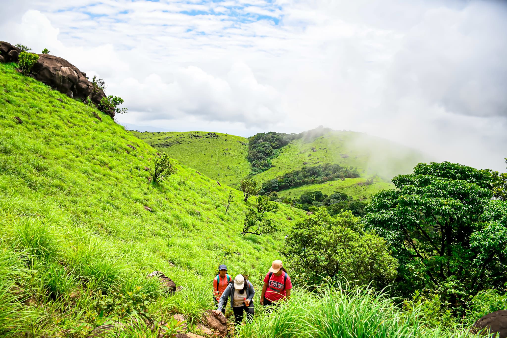 Panoramic view from Tadiandamol Peak