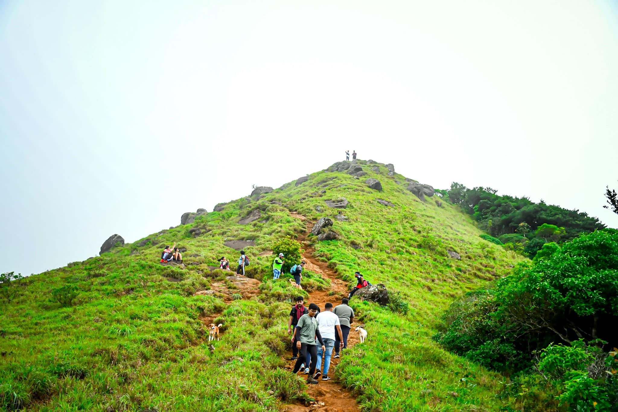 Fog filled landscapes of Tadiandamol