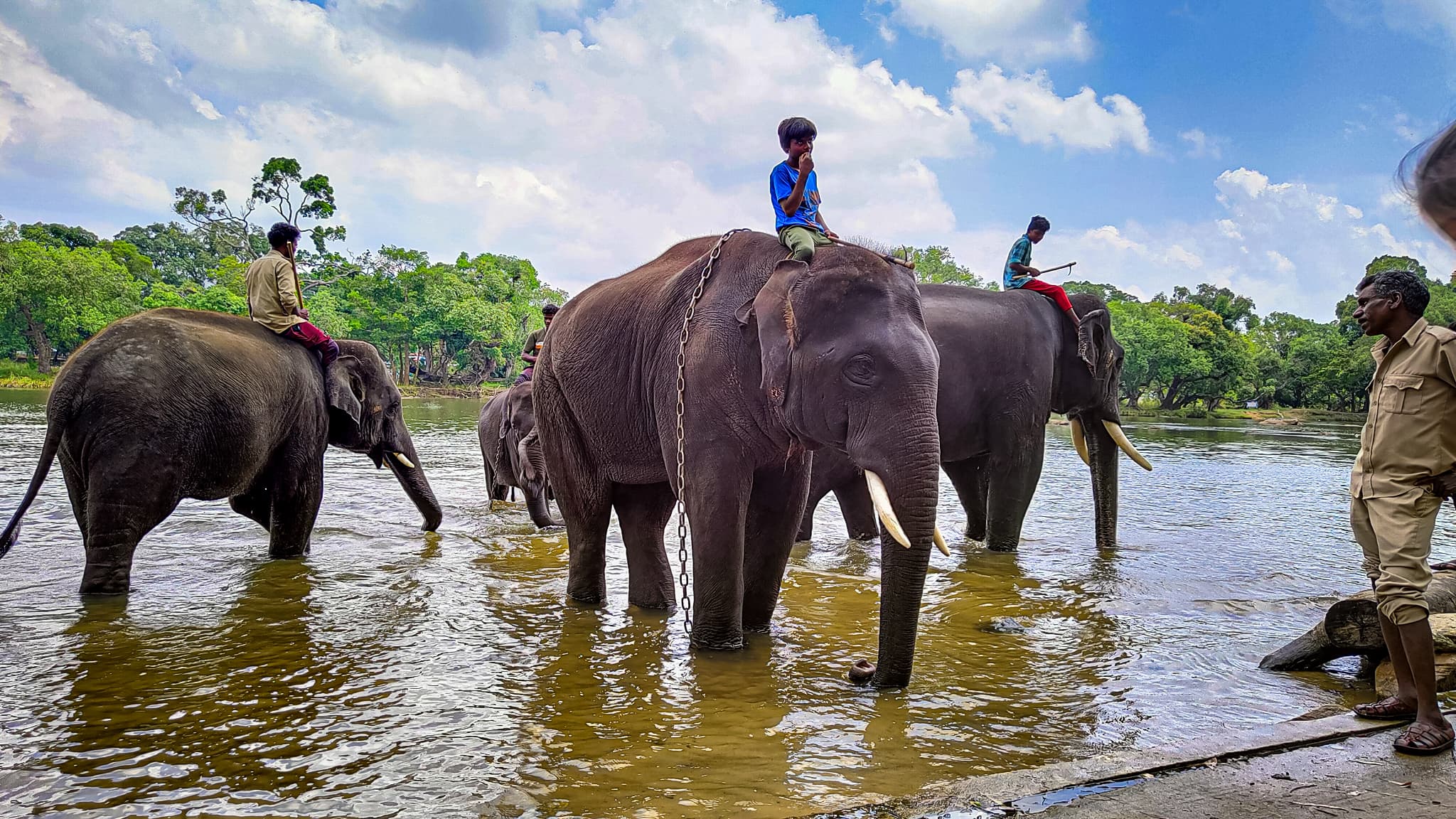 Harangi Elephant Camp