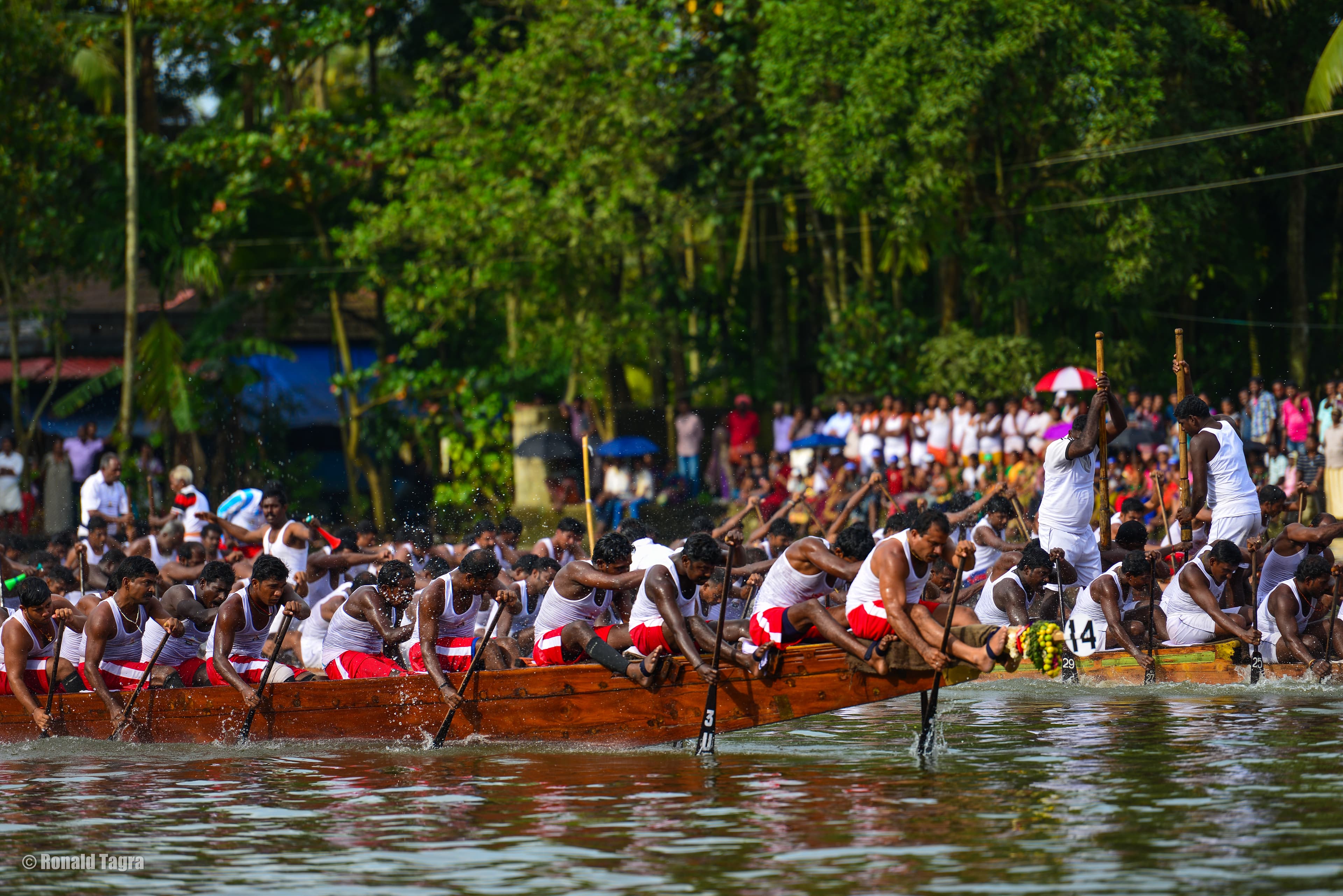 Snake Boat Race