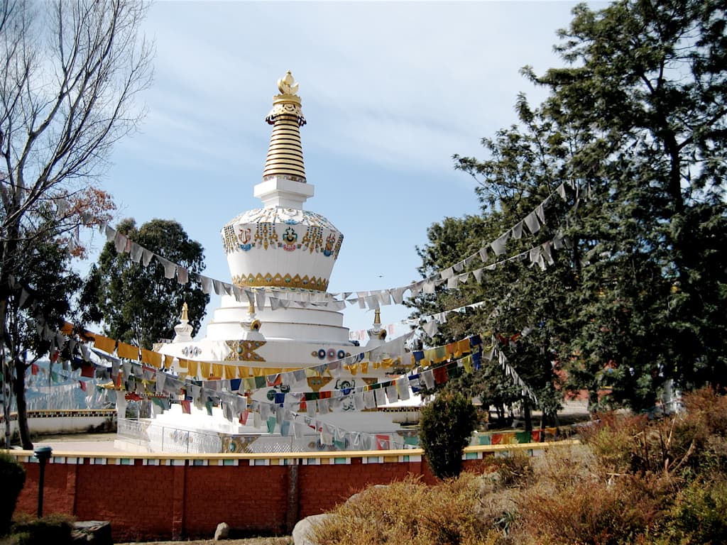 Tibetan Colony, Bir Billing 