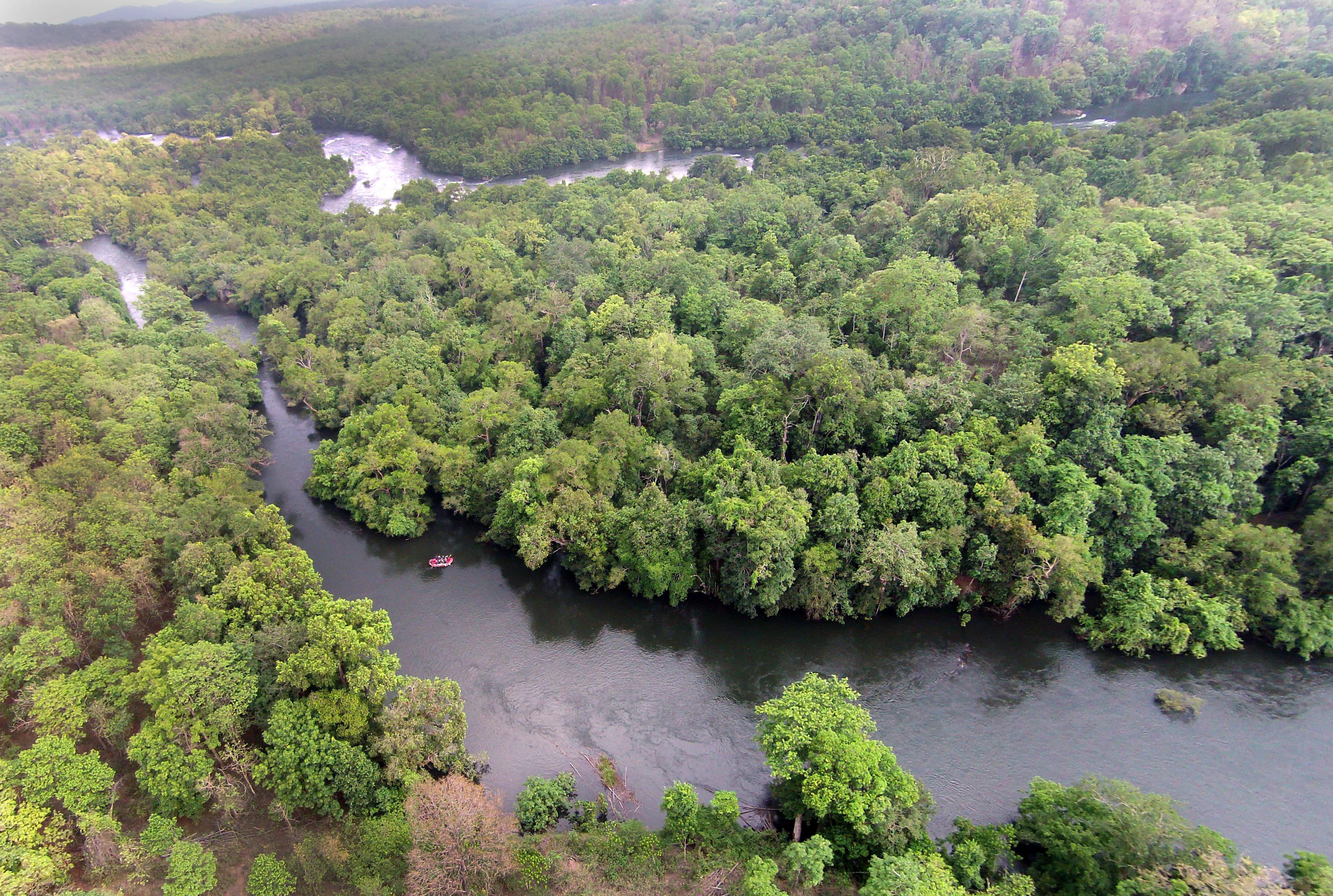 A beautiful view of the greenery around river Kali in Dandeli