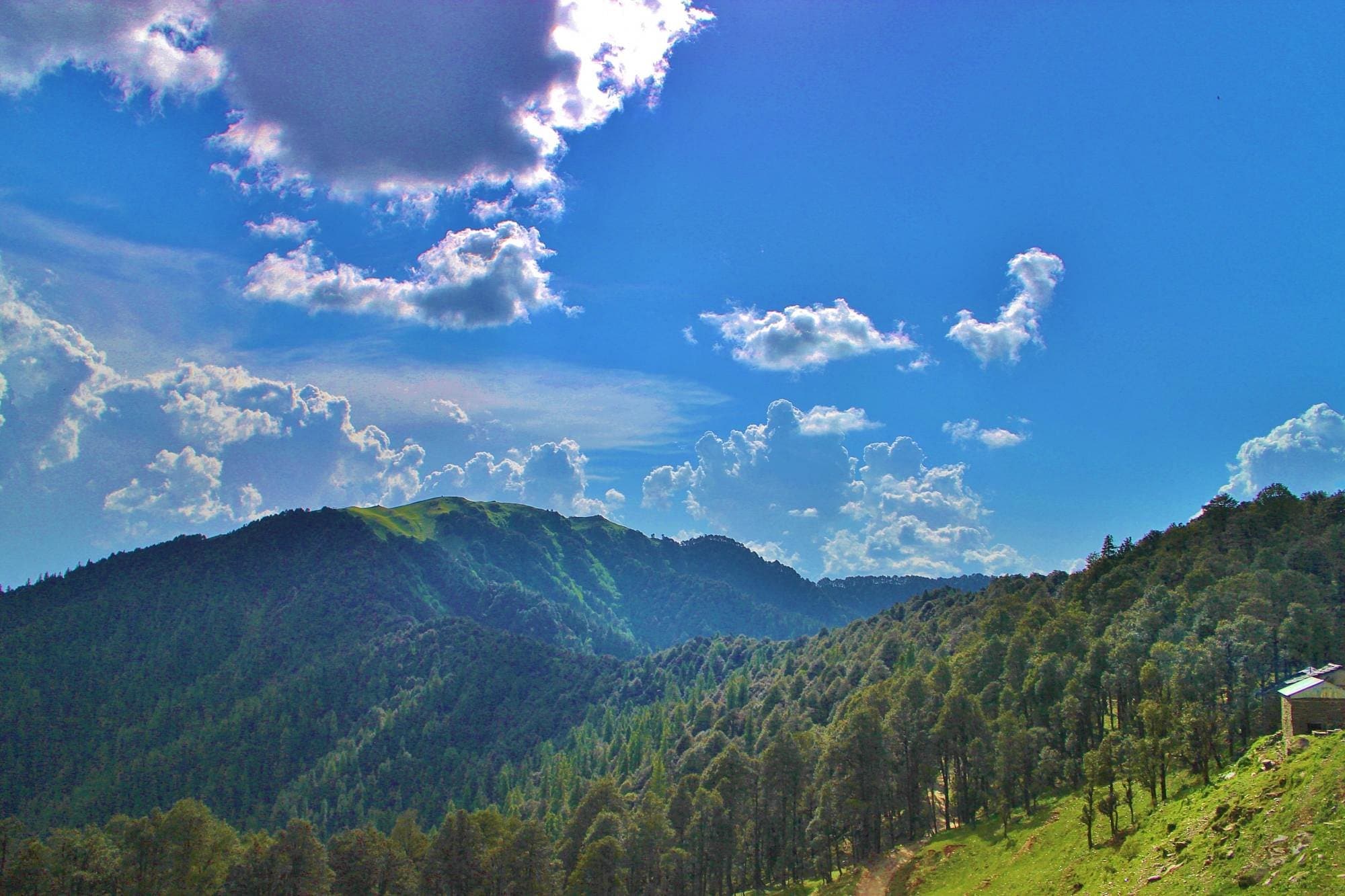 Jalori Pass