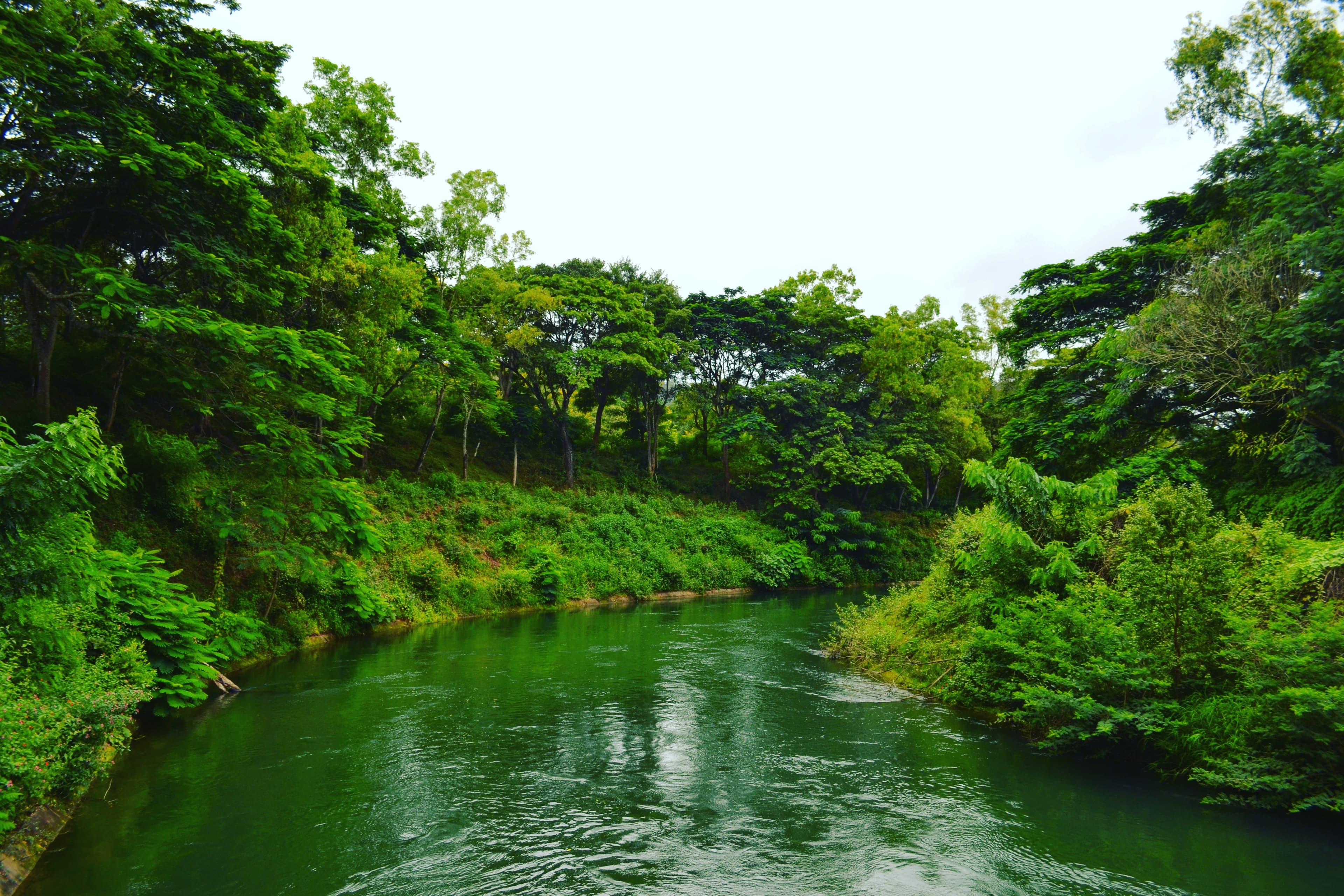 Lake view in Coorg