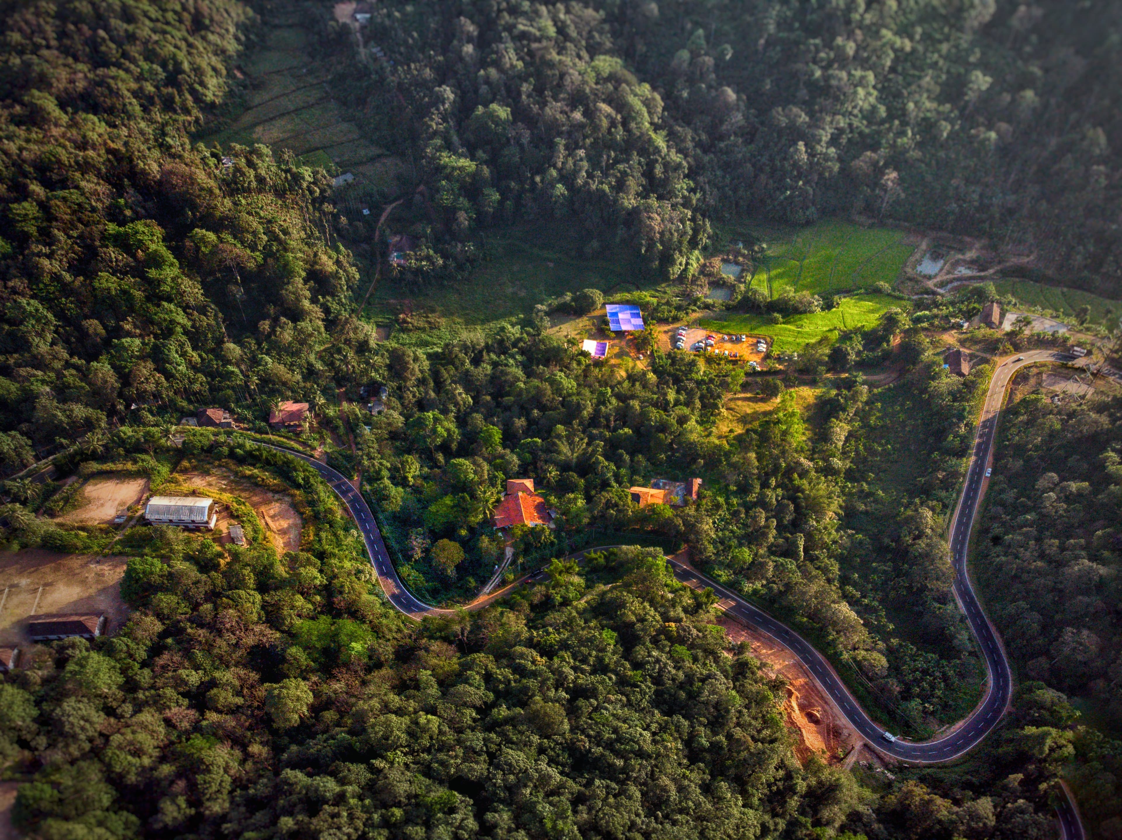 Aerial view of Coorg