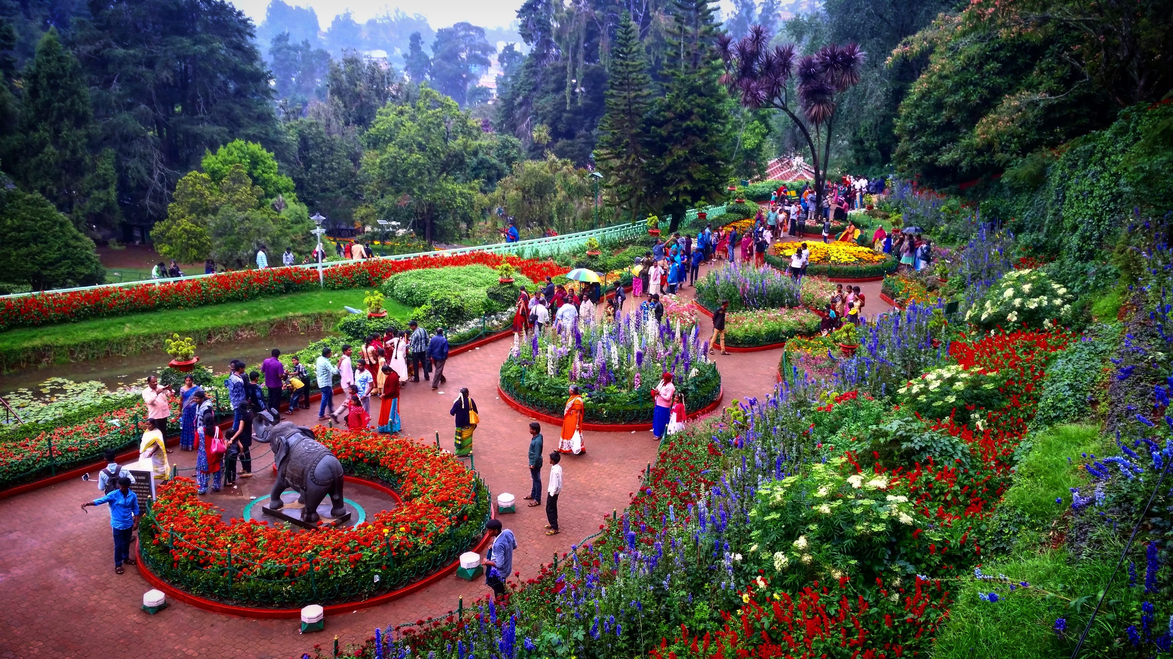 Rose garden in Ooty