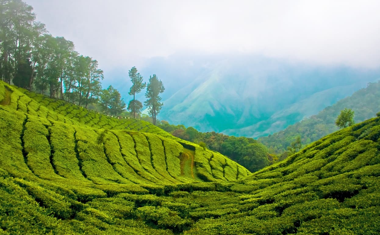 Top Station, Munnar 
