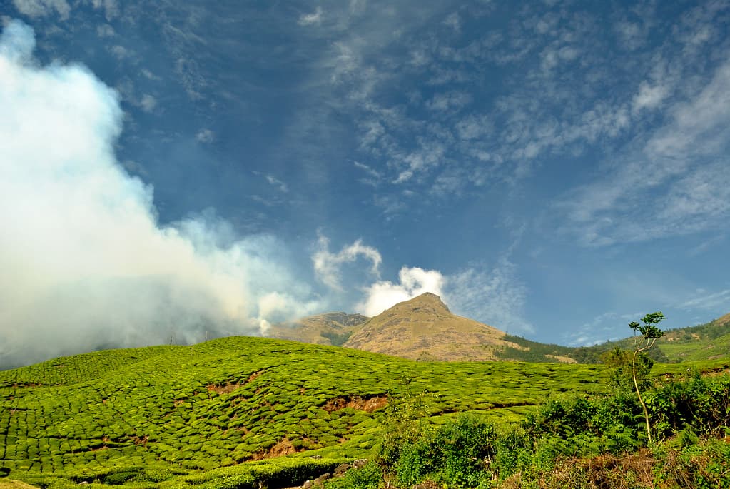 Kolukkumalai, Munnar 