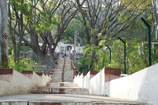 Temple surrounded by forest on Antara Gange Trek