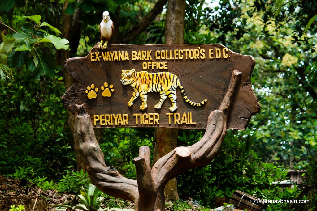 Tiger trail at Periyar Tiger Reserve, Thekkady