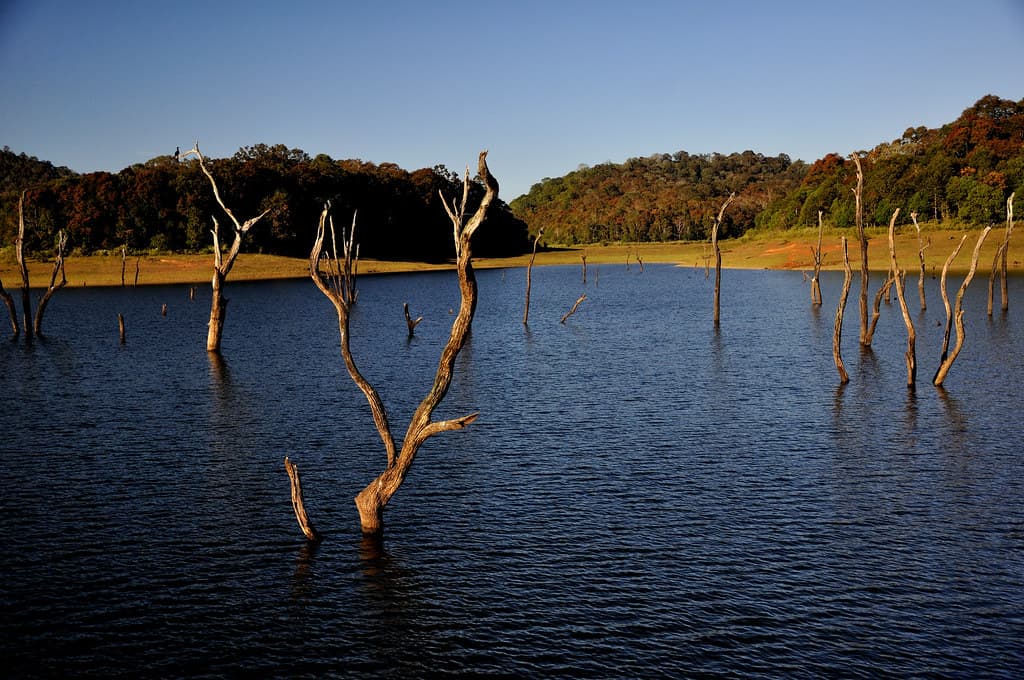 Lake Periyar, Thekkady 