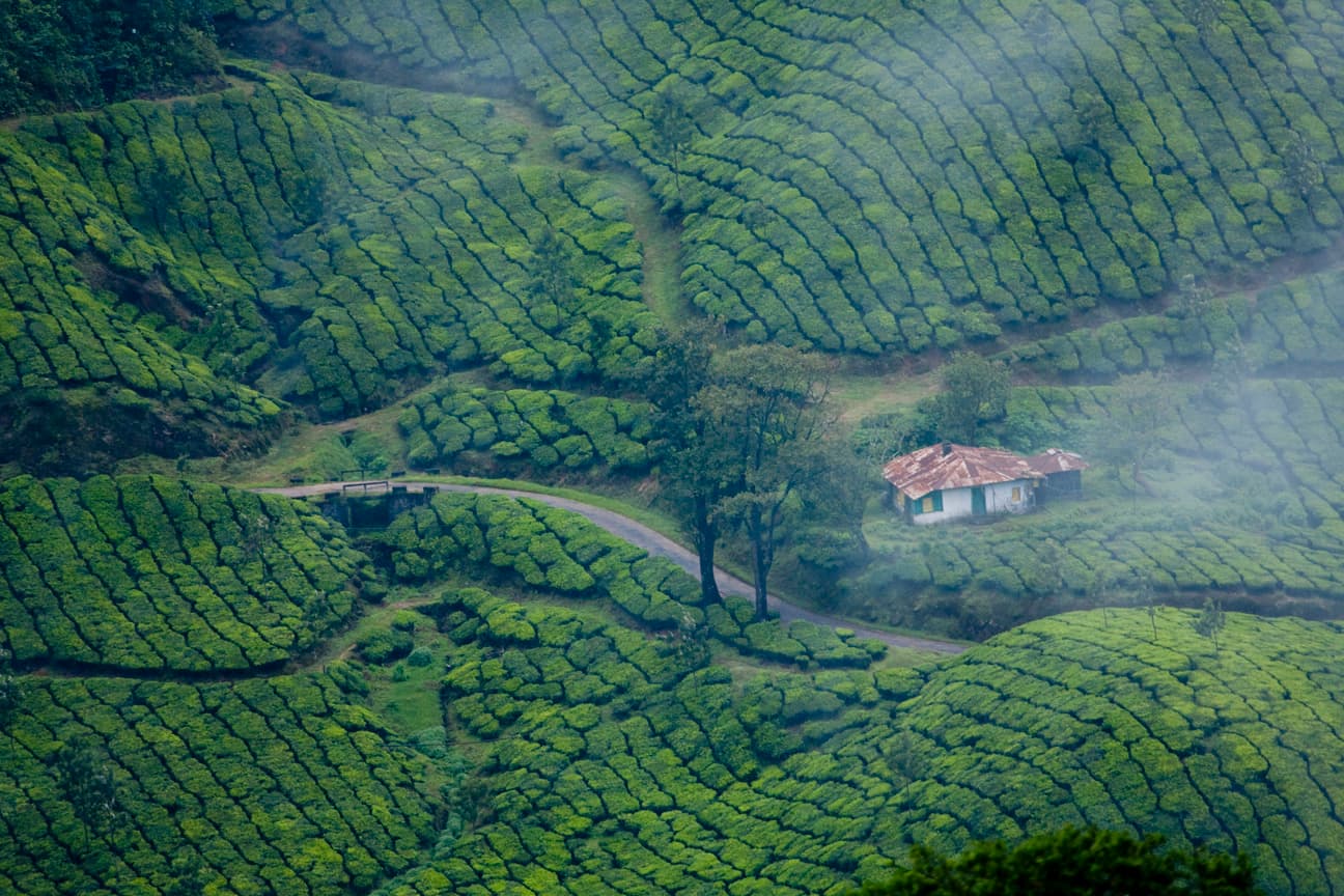 Munnar drone view