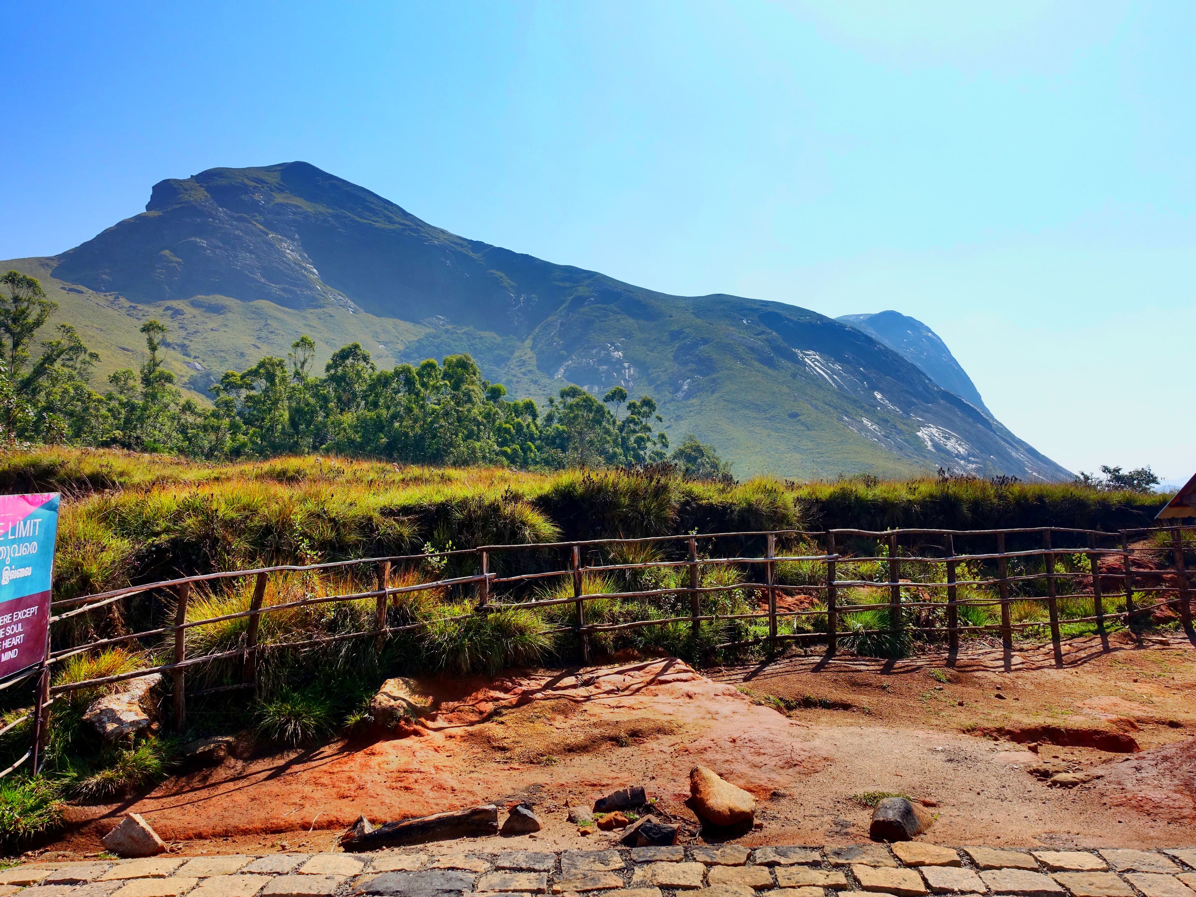 Eravikulam Park