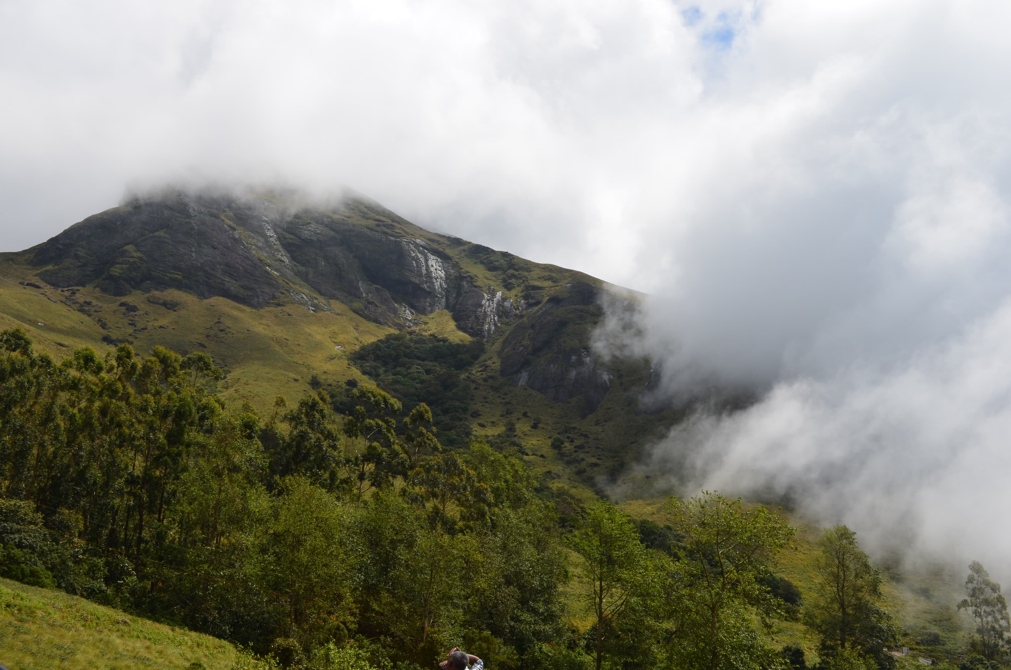 Ervaikulam National Park