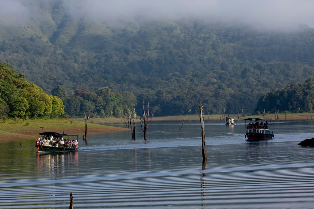 Thekkady, Kerala 