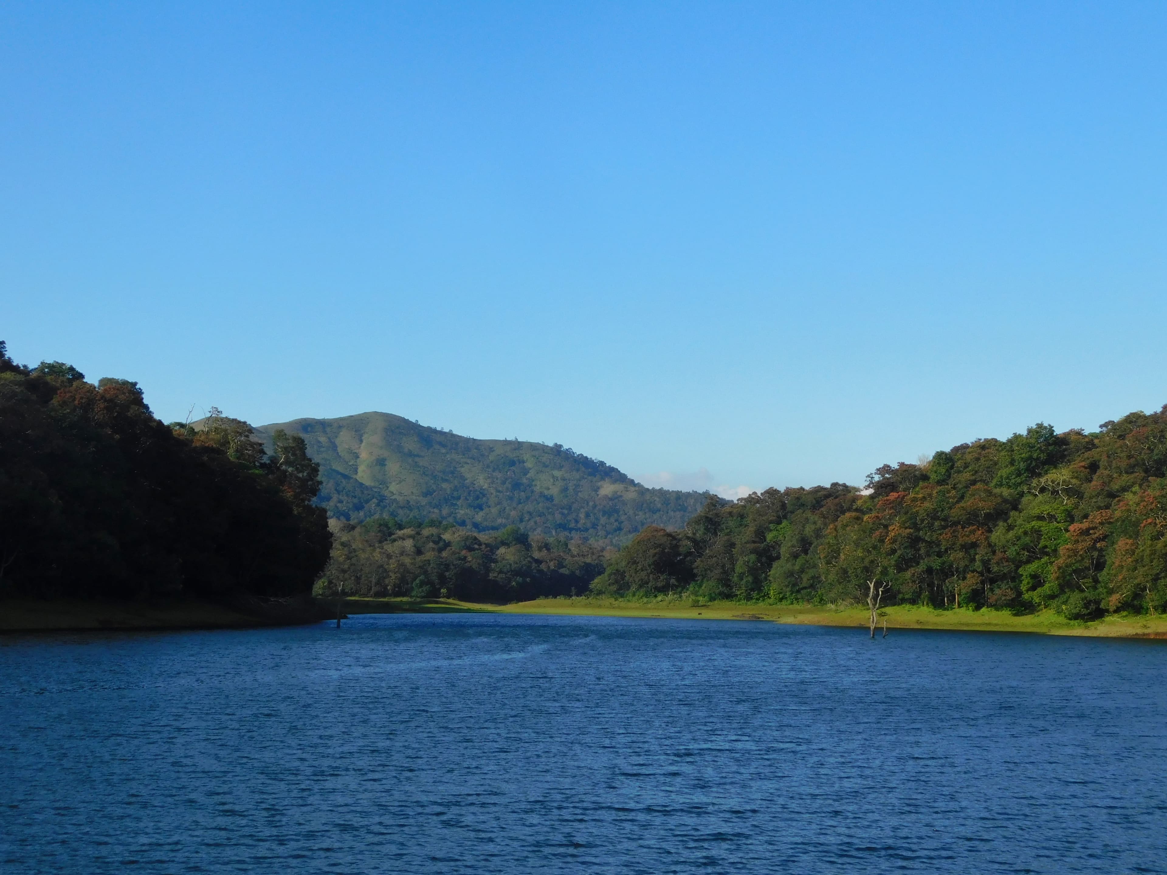 River in Thekkady