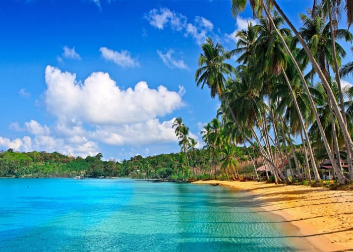Andaman and Nicobar shoreline 