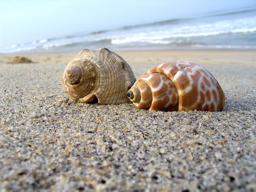 Malpe Beach shoreline in Mangalore