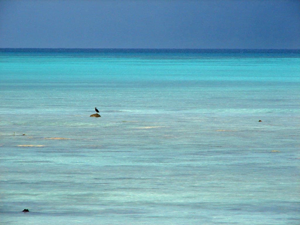 Calm waters of Andaman and Nicobar's Beach 