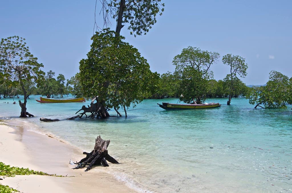 Neil Island, Andaman and Nicobar 