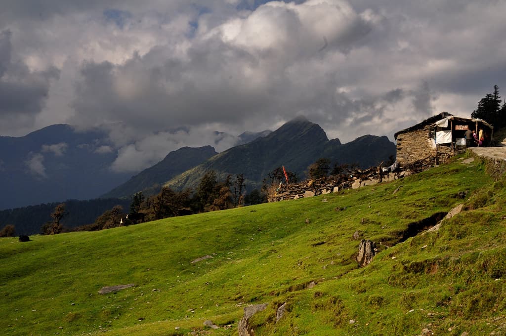 Meadows in Chopta on the way to Chandrashila Trek