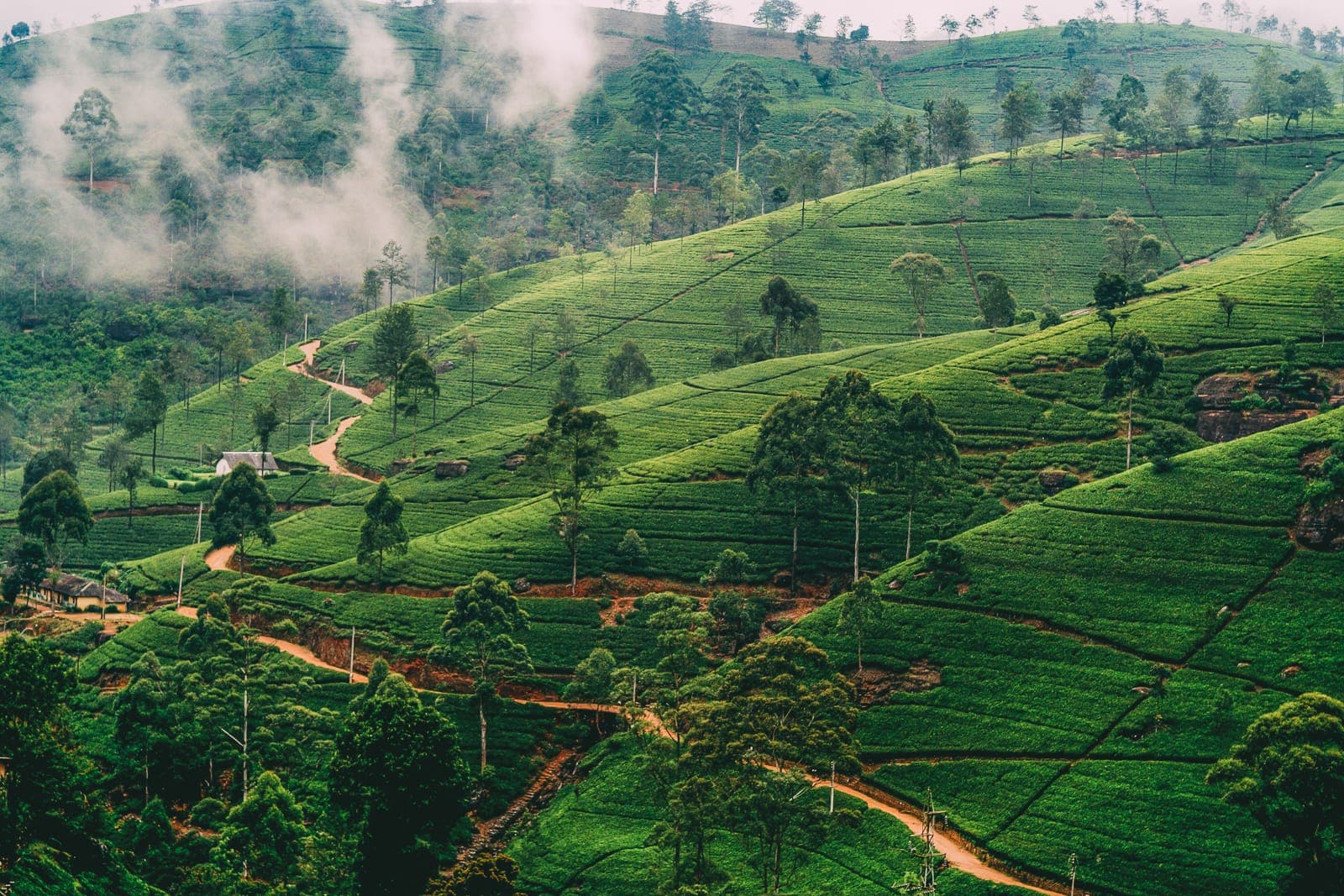 Nuwara Eliya, Sri Lanka 