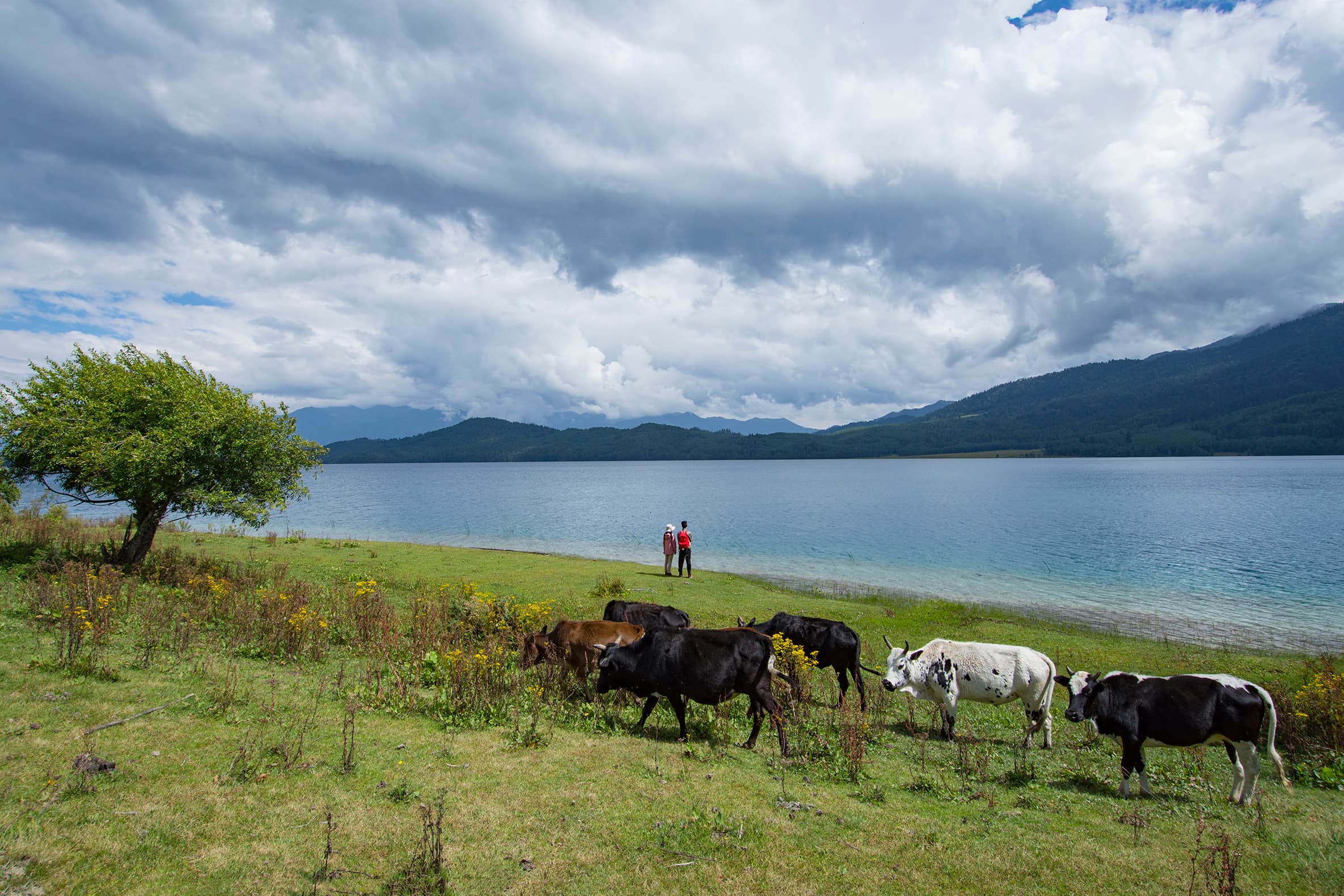 Rara Lake