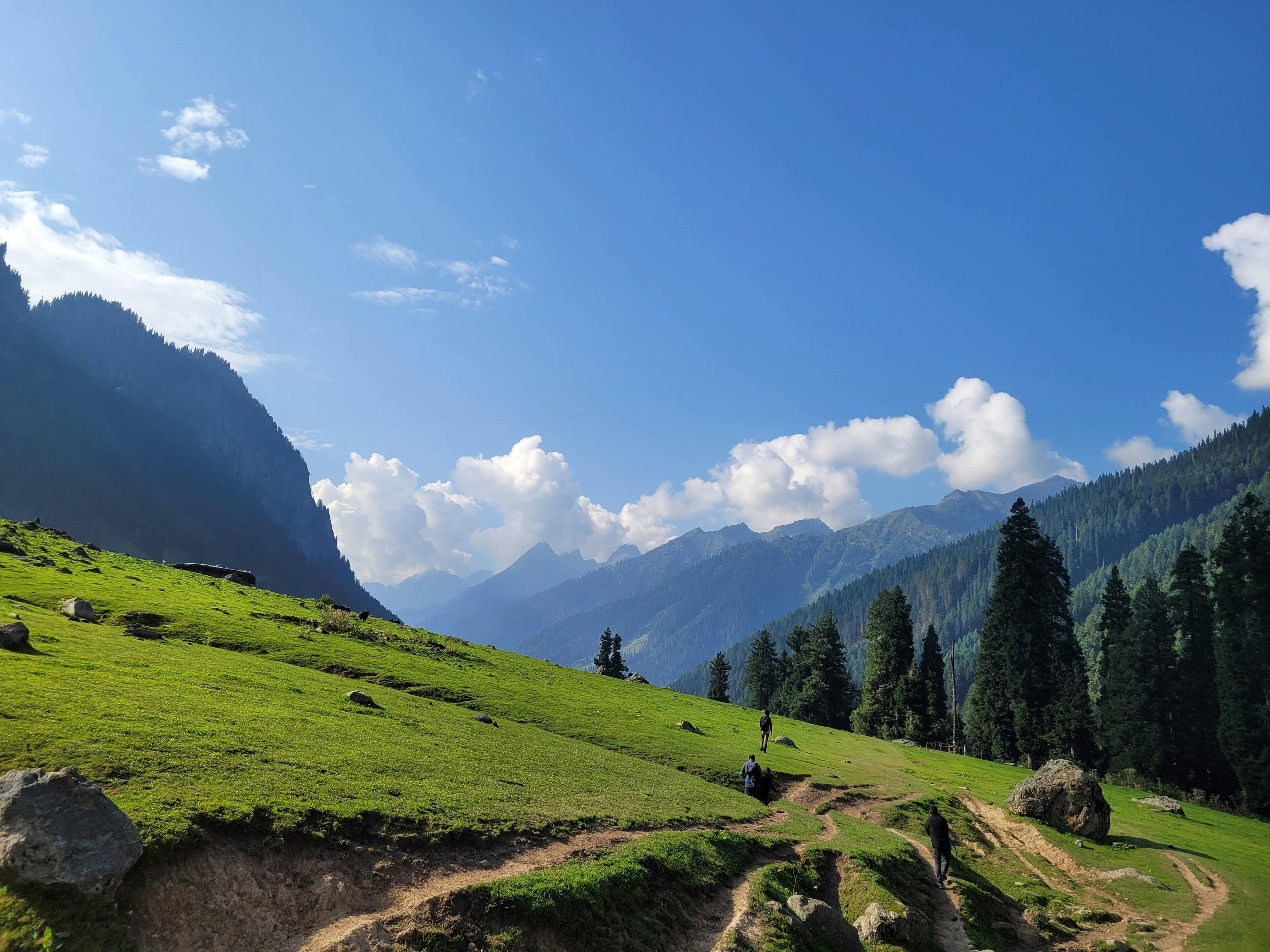 Hikers crossing a meadow during the Tarsar Marsar Trek