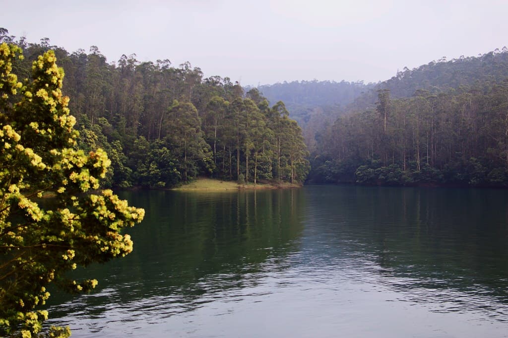 Ooty Lake View