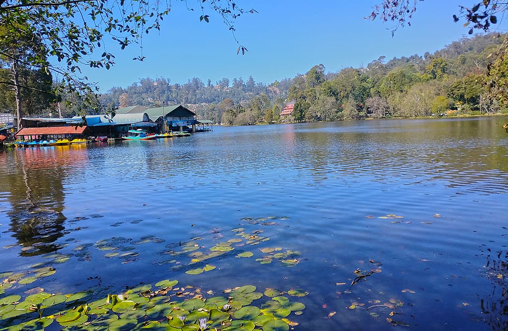 Kodai Lake view