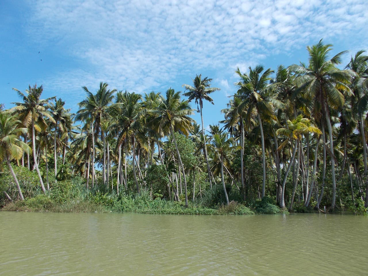 Trivandrum, Kerala 