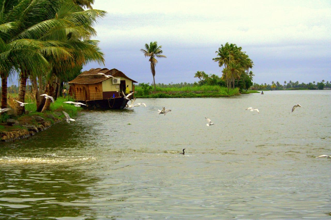 Kerala backwaters