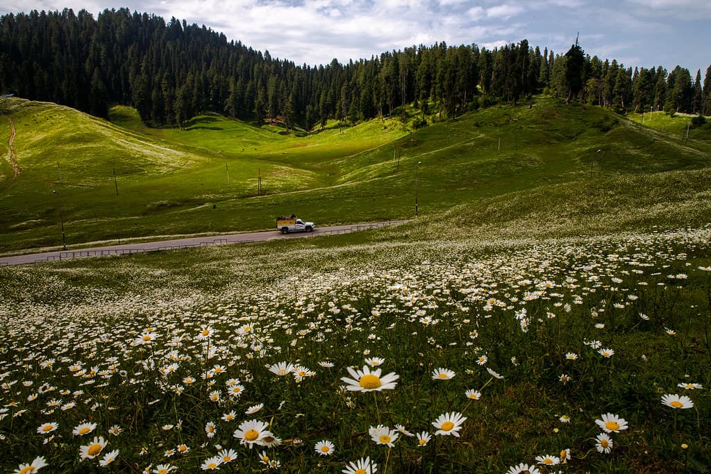 Gulmarg, Kashmir