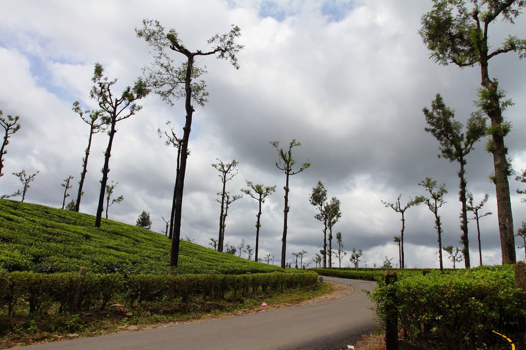 Valparai