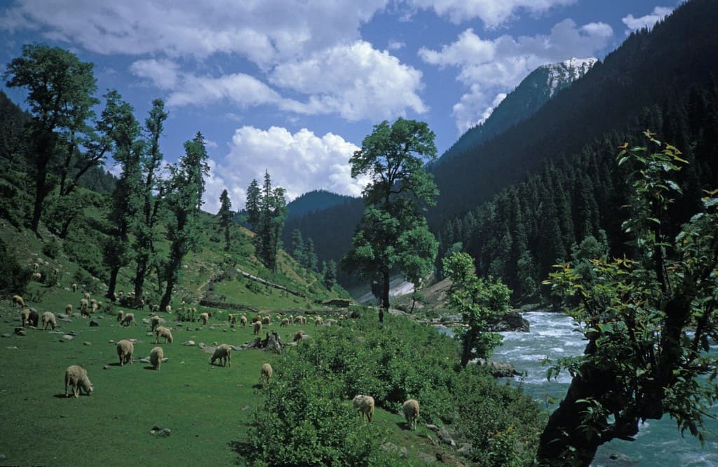 Pahalgam, Kashmir