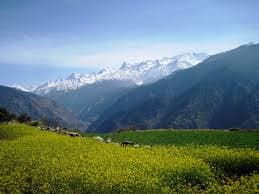 Stunning meadow views on Dayara Bugyal Trek